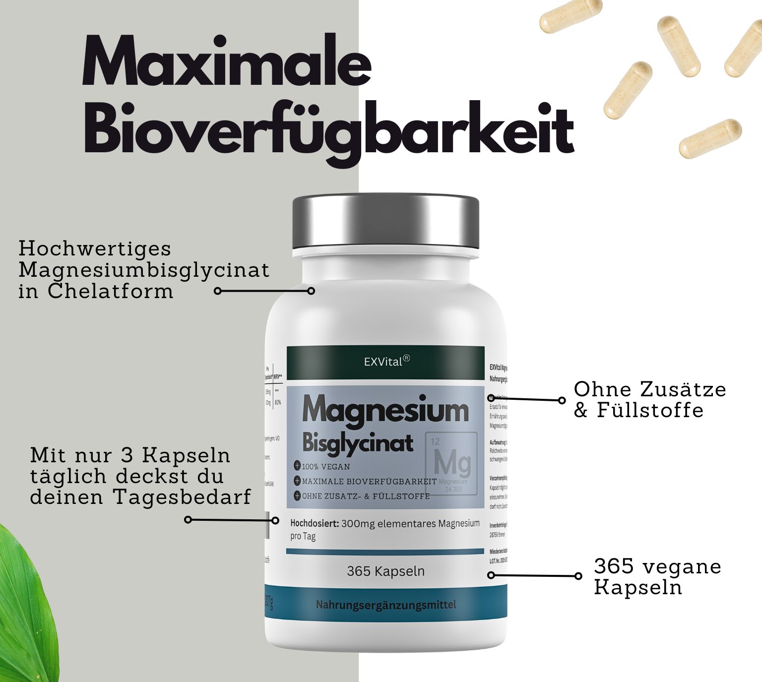 Weiße Flasche mit Magnesium Bisglycinat Kapseln. Text: Maximale Bioverfügbarkeit, 365 Kapseln, ohne Zusätze & Füllstoffe.