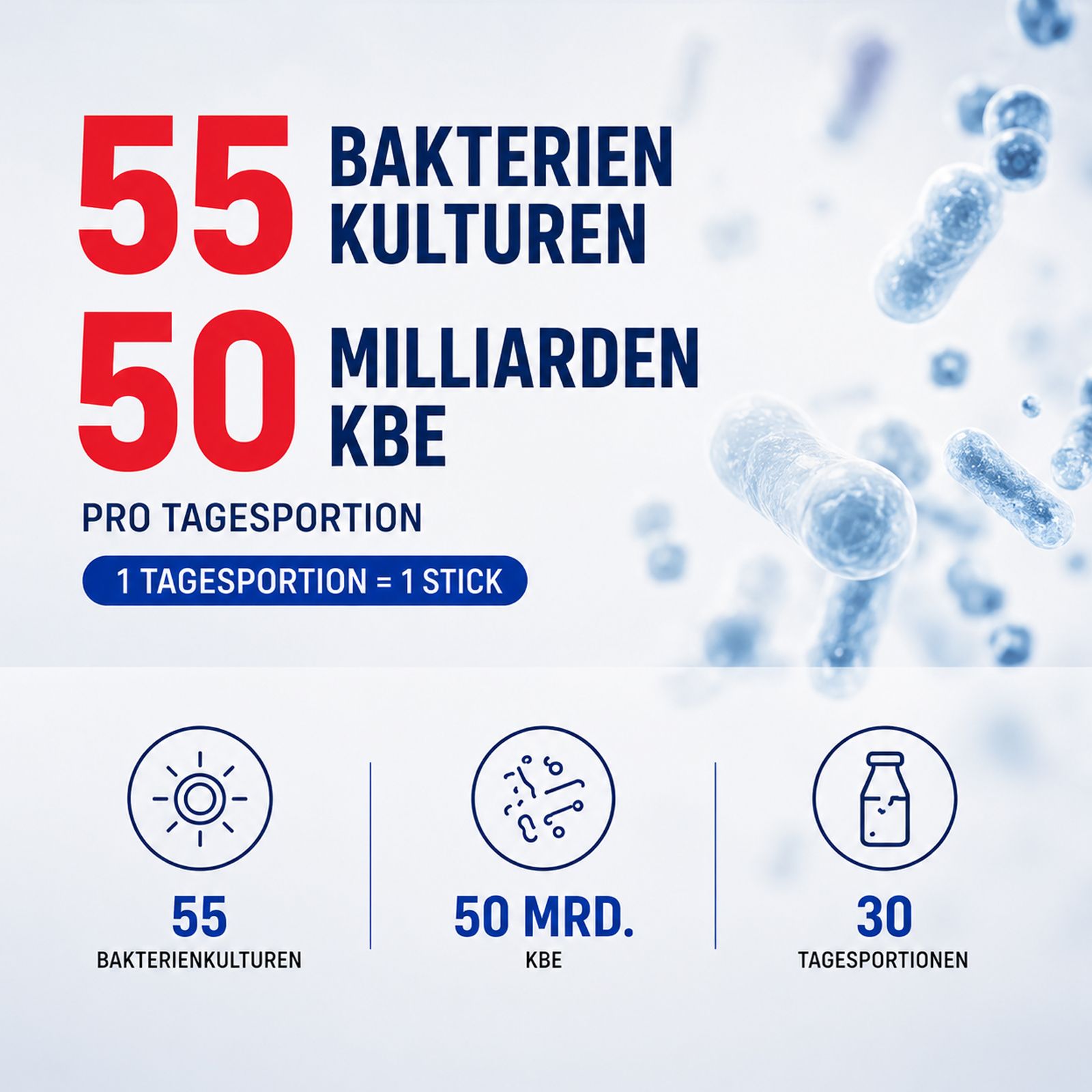 ULTIBIOM 55: 55 Bakterienkulturen, 50 Milliarden KBE pro Tagesportion. Mikroskopische Ansicht von Bakterien.