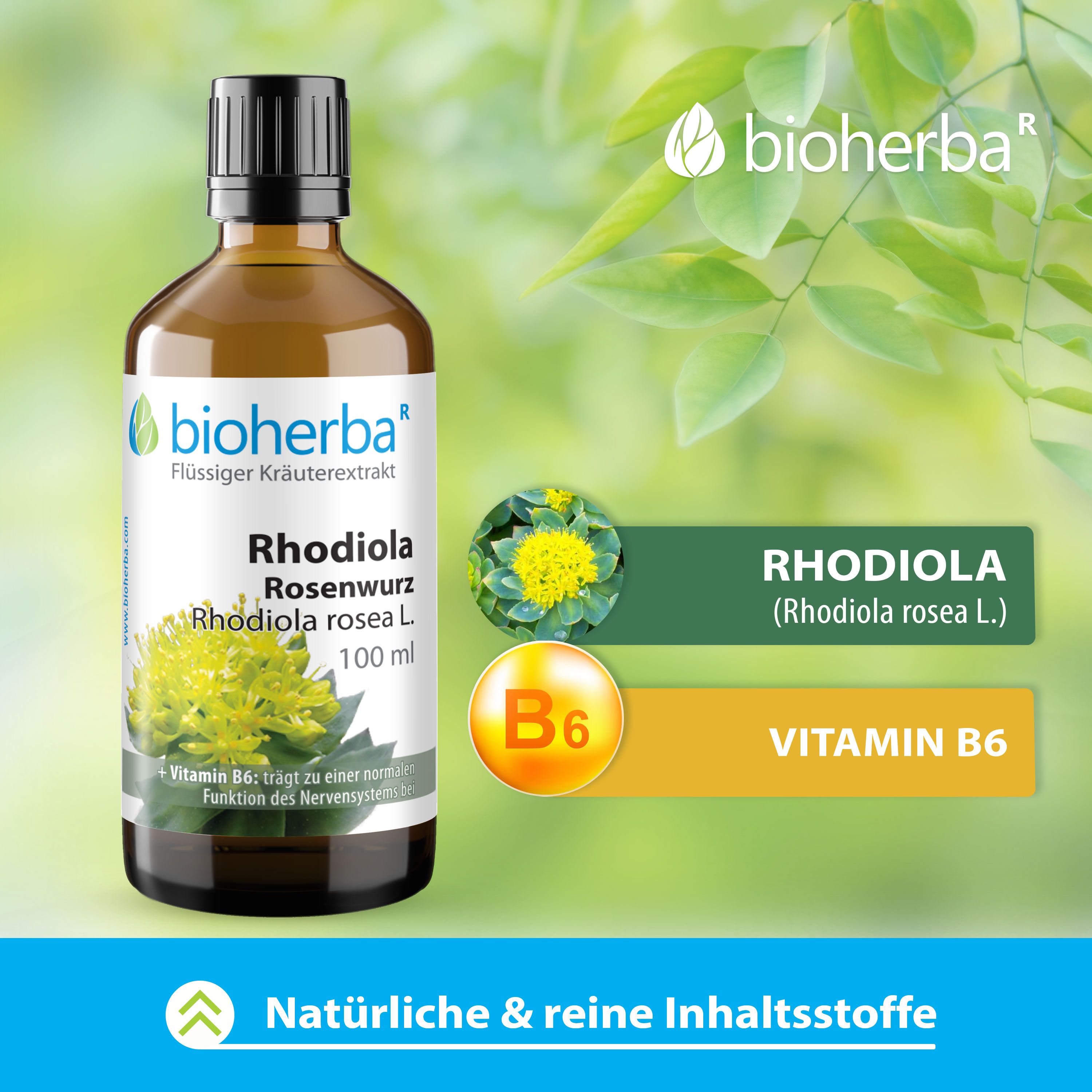Braune Glasflasche mit schwarzem Deckel. Bioherba Rhodiola Rosenwurz, 100 ml. Mit Illustrationen und Text über Vitamin B6.