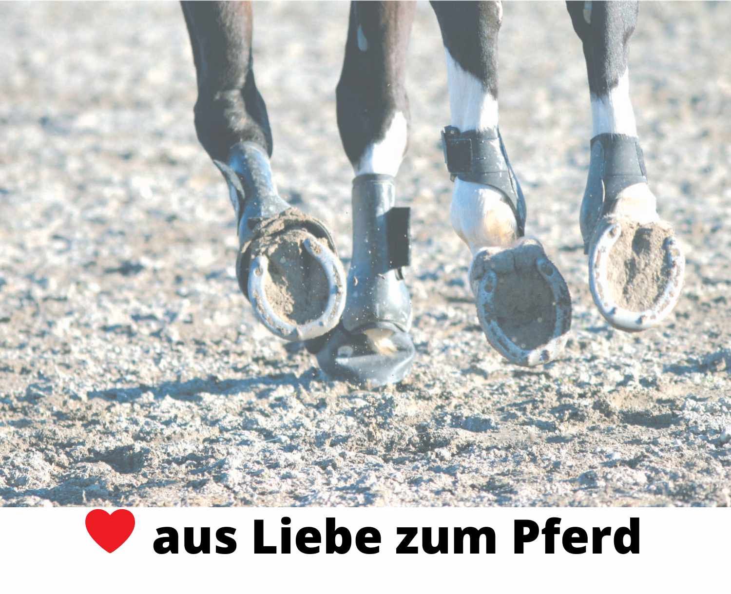 Pferdebeine mit schwarzen Gamaschen. Auf sandigem Untergrund. Text: aus Liebe zum Pferd.