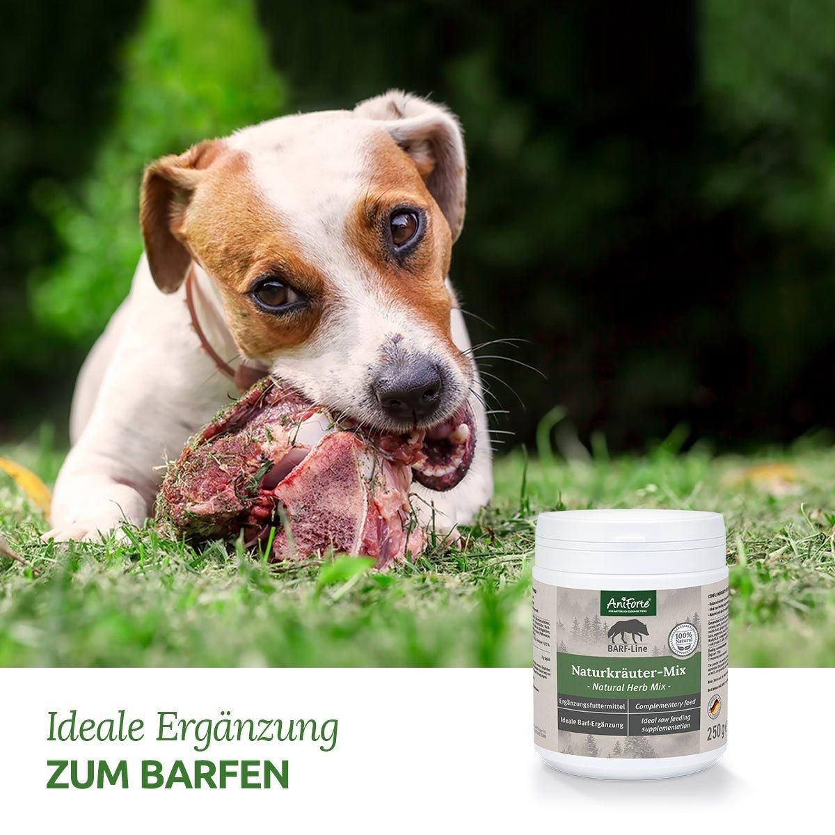 Hund frisst Knochen, daneben Produktverpackung. Text: Ideale Ergänzung zum Barfen.