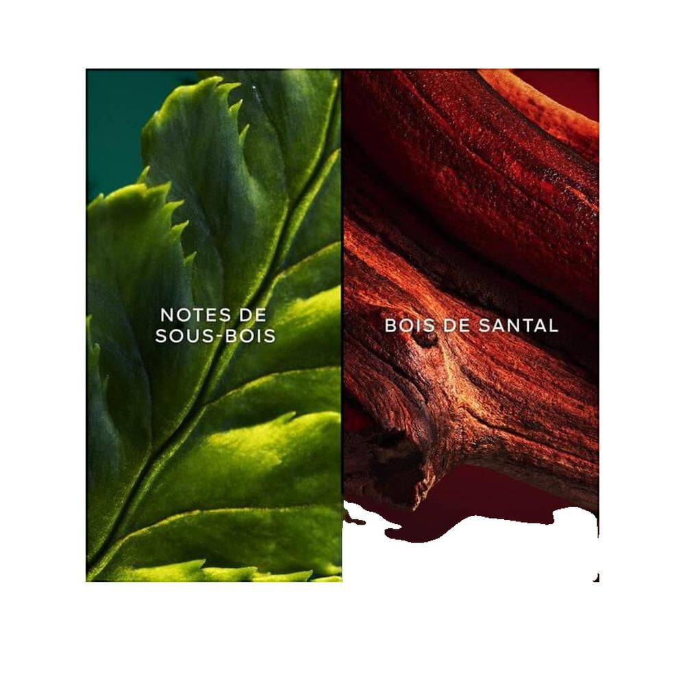 Zwei Hälften: linke Seite Blatt, rechte Seite Holz. Text: "NOTES DE SOUS-BOIS" und "BOIS DE SANTAL".