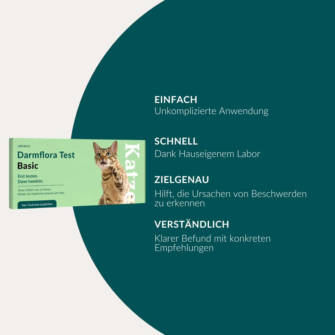 Verpackung des Darmflora Tests Basic für Katzen mit Katze und Erläuterungen zu Anwendung und Nutzen.