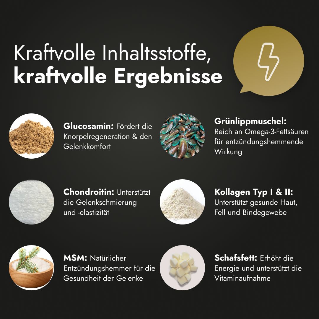 Grafik mit Inhaltsstoffen: Glucosamin, Grünlippmuschel, Chondroitin, Kollagen, MSM, Schafsfett. Text: Kraftvolle Inhaltsstoffe, kraftvolle Ergebnisse.