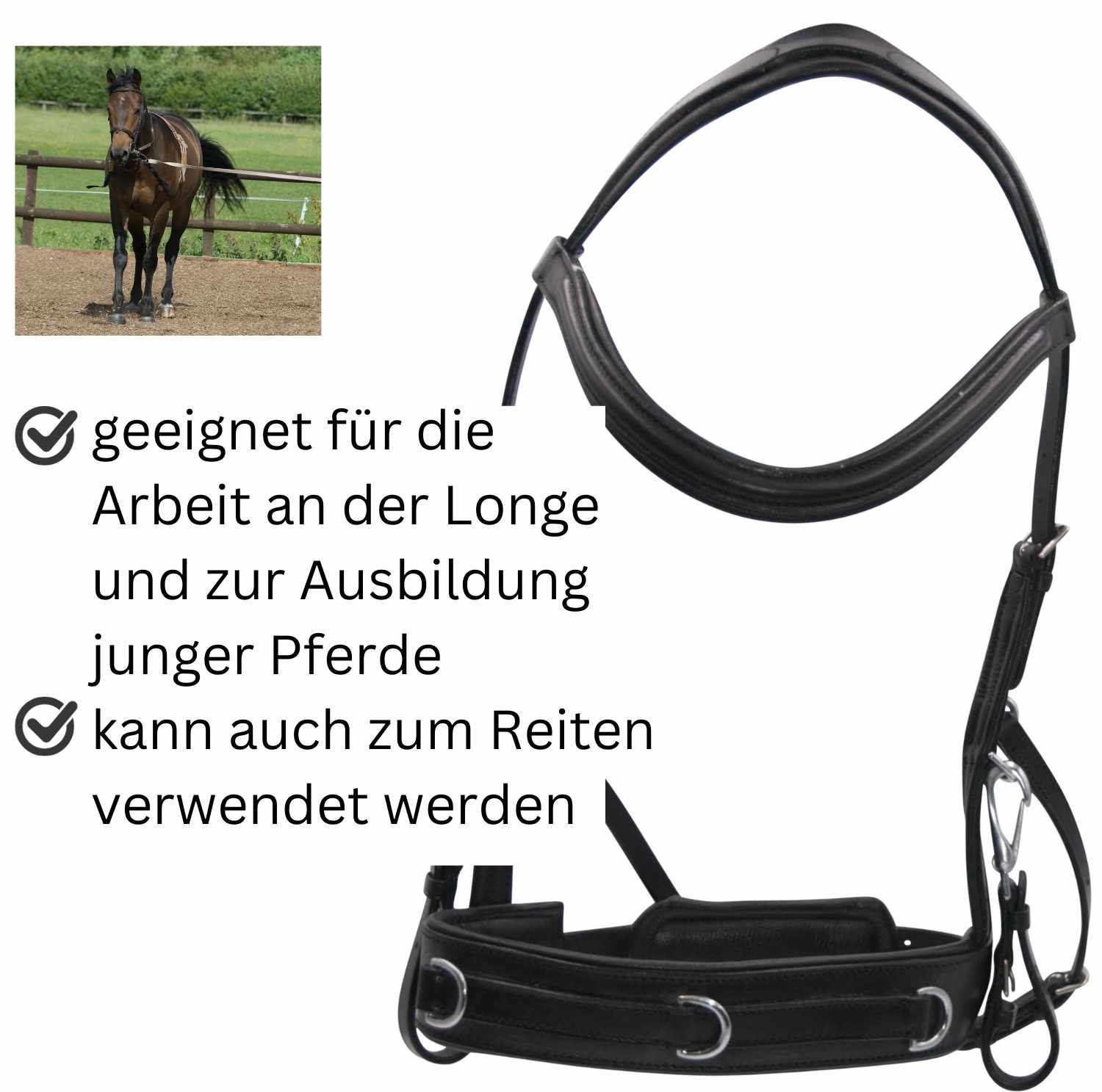 Schwarzer Reitkappzaum. Geeignet für die Arbeit an der Longe und zur Ausbildung junger Pferde. Auch zum Reiten.