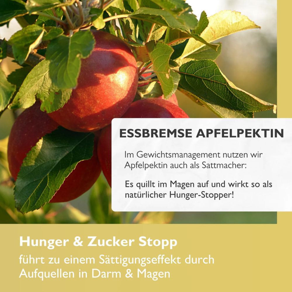 Äpfel. Text: Essbremse Apfelpektin. Hunger & Zucker Stopp. Sättigungseffekt durch Aufquellen in Darm & Magen.