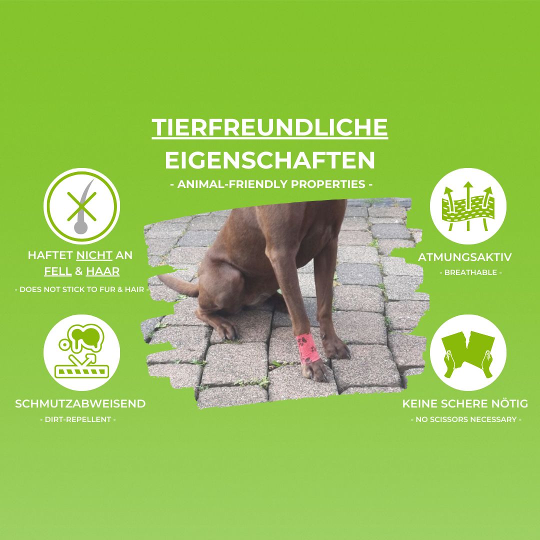 LisaCare Selbstklebende Pferdebandagen - Tierverband - 7,5cmx4,5m