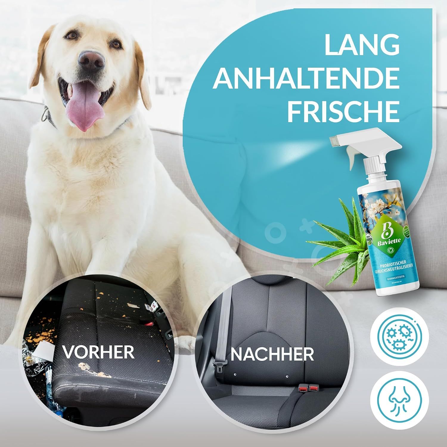 Baviette Probiotischer Geruchsneutralisierer Konzentrat