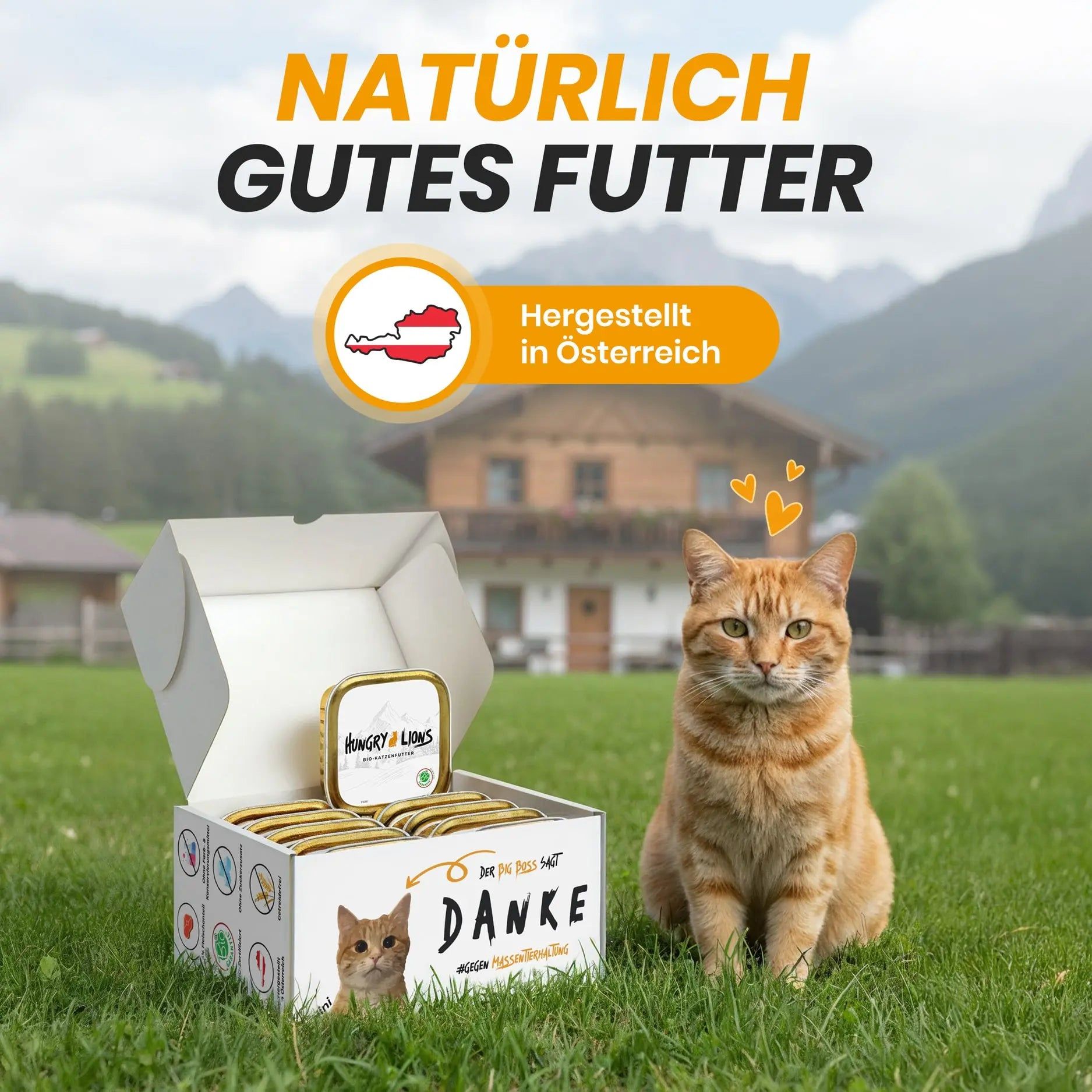 Ein Korb mit Dosen Tierfutter, daneben eine Katze sitzend. Haus und Berge im Hintergrund.