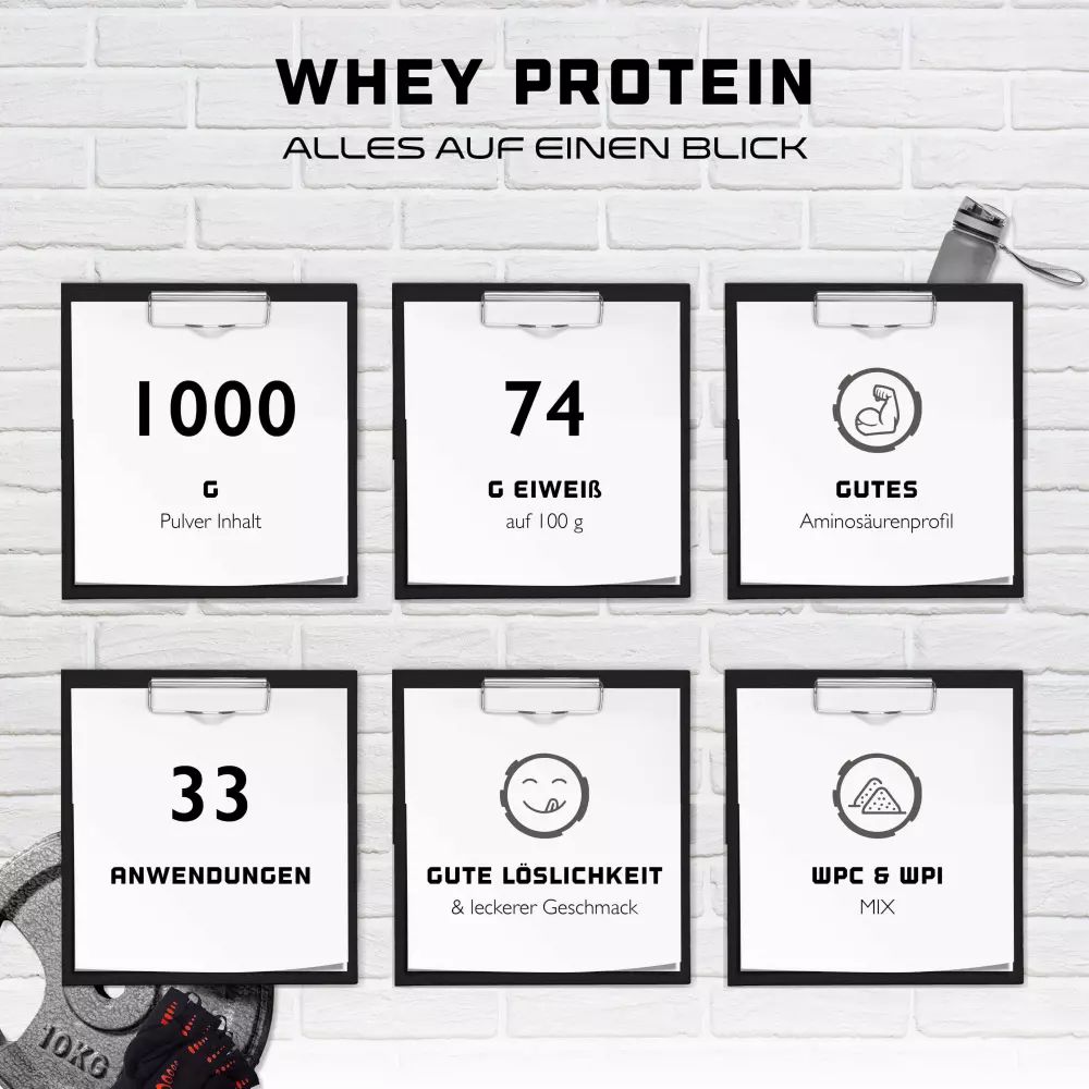 Sechs Infografiken mit Informationen zu Whey Protein. Enthält Angaben zu Inhalt, Eiweißgehalt, Aminosäurenprofil, Anwendungen, Löslichkeit und WPC & WPI.
