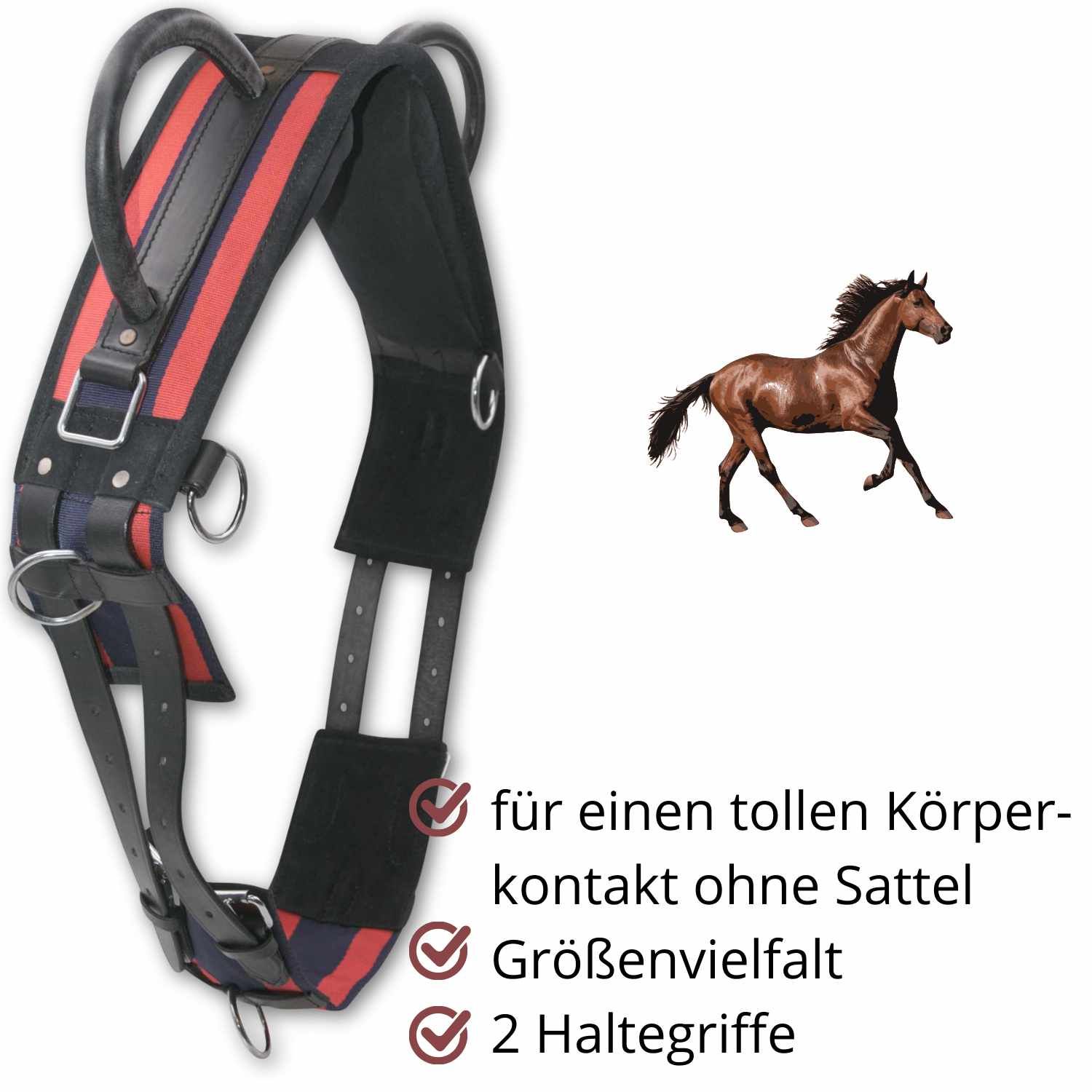 Longiergurt mit Pferd-Illustration. Rote und blaue Akzente, zwei Haltegriffe. Text: toller Körperkontakt.