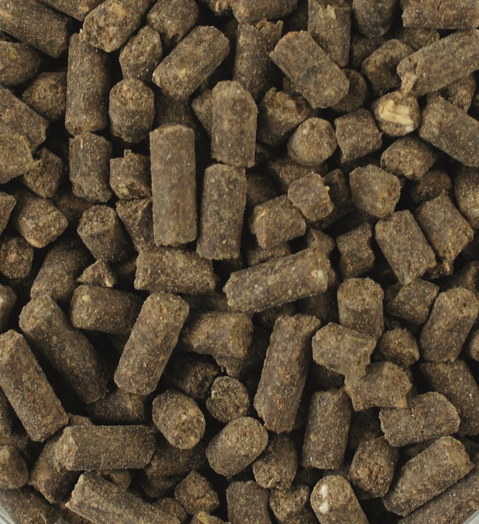 Braune, zylindrische Pellets, Nahaufnahme. Texturierte Oberfläche, unregelmäßige Formen. Futterergänzungsmittel.