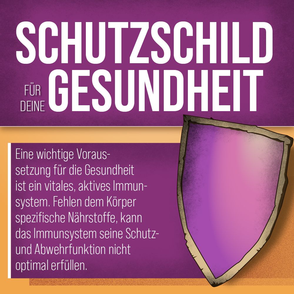 Lila Schild mit Text: SCHUTZSCHILD FÜR DEINE GESUNDHEIT. Text über die Bedeutung des Immunsystems für die Gesundheit.