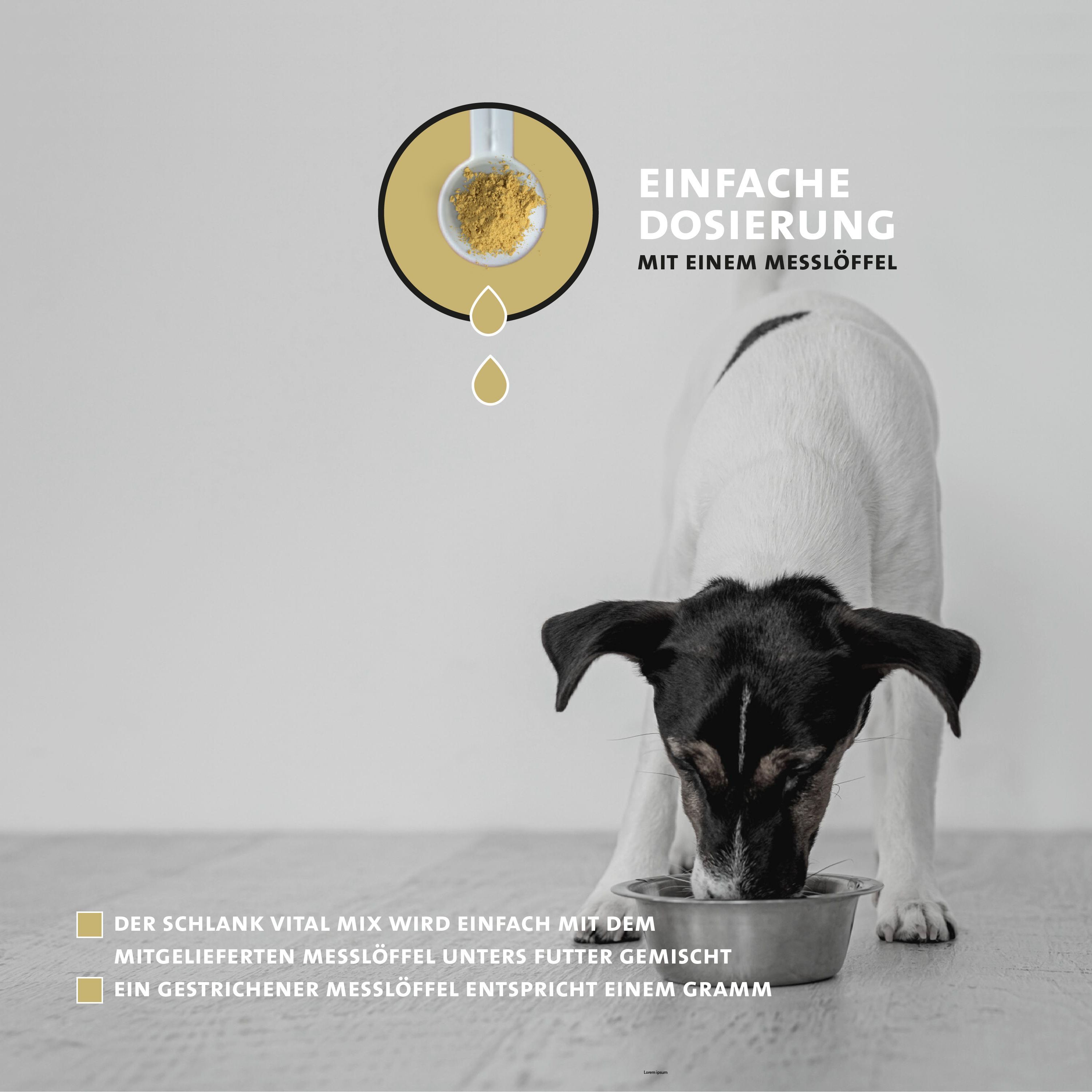 Hund frisst aus Futternapf. Messlöffel mit Pulver. Text: Einfache Dosierung mit einem Messlöffel. Ein gestrichener Messlöffel entspricht einem Gramm.