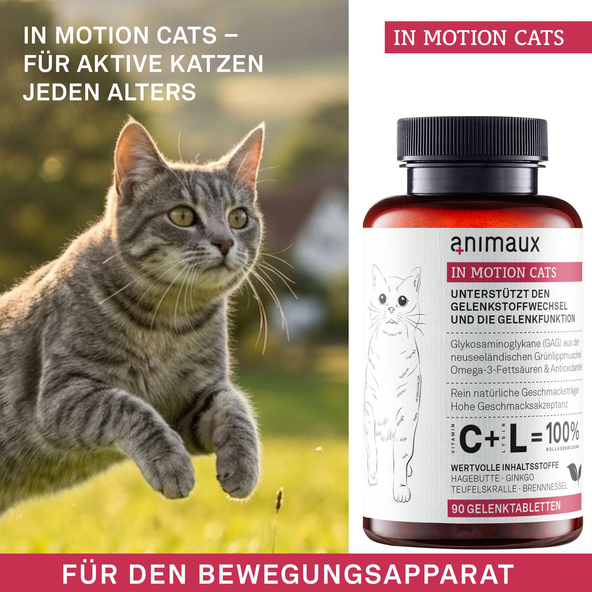 Katze springt, daneben eine Flasche Animaux In Motion Cats Gelenktabletten. Text: Für aktive Katzen jeden Alters.