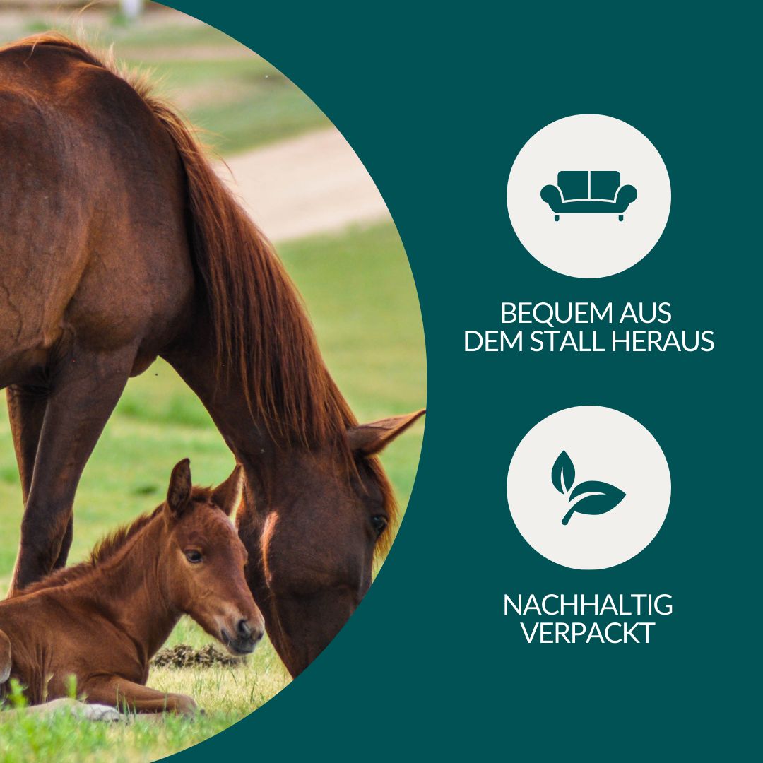 Pferde auf einer Wiese. Icons für bequeme Entnahme und nachhaltige Verpackung.