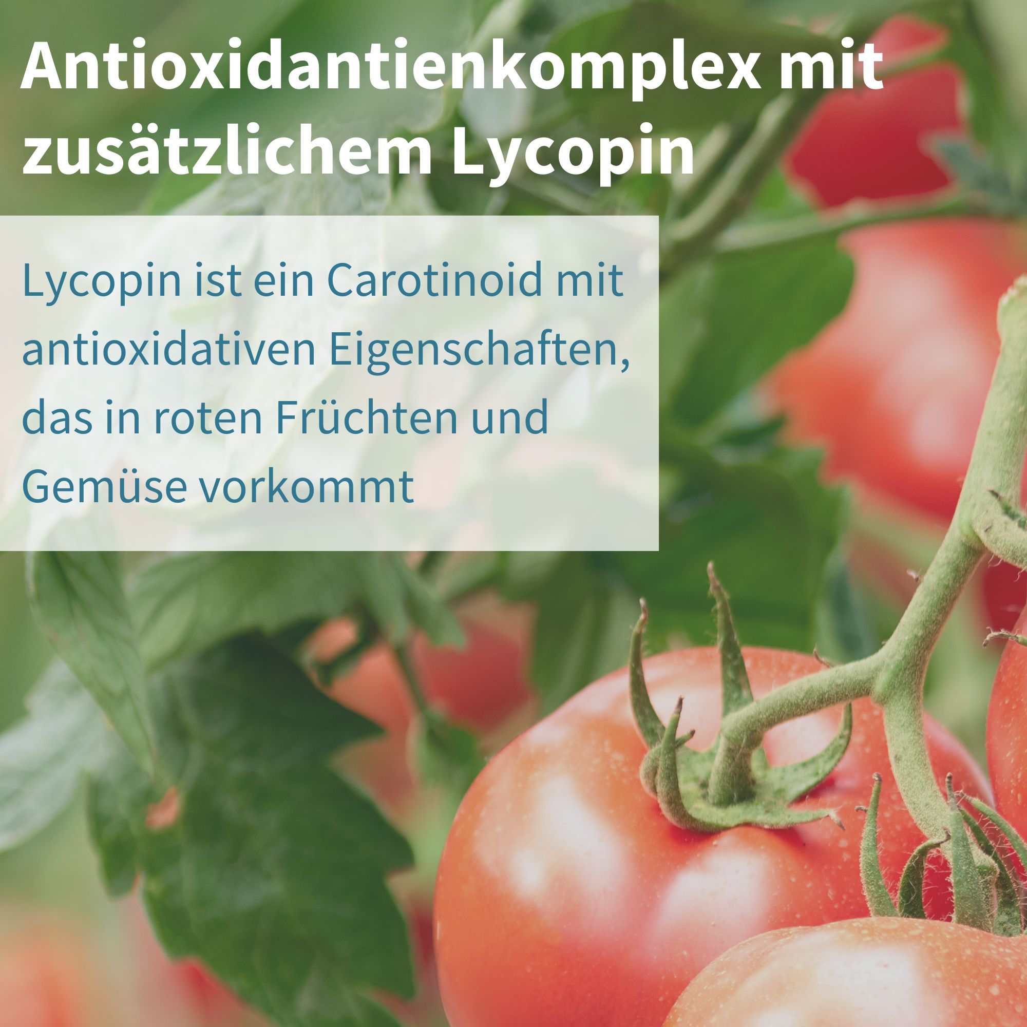 Antioxidantienkomplex mit zusätzlichem Lycopin in Igennus Multivitamin für Männer.