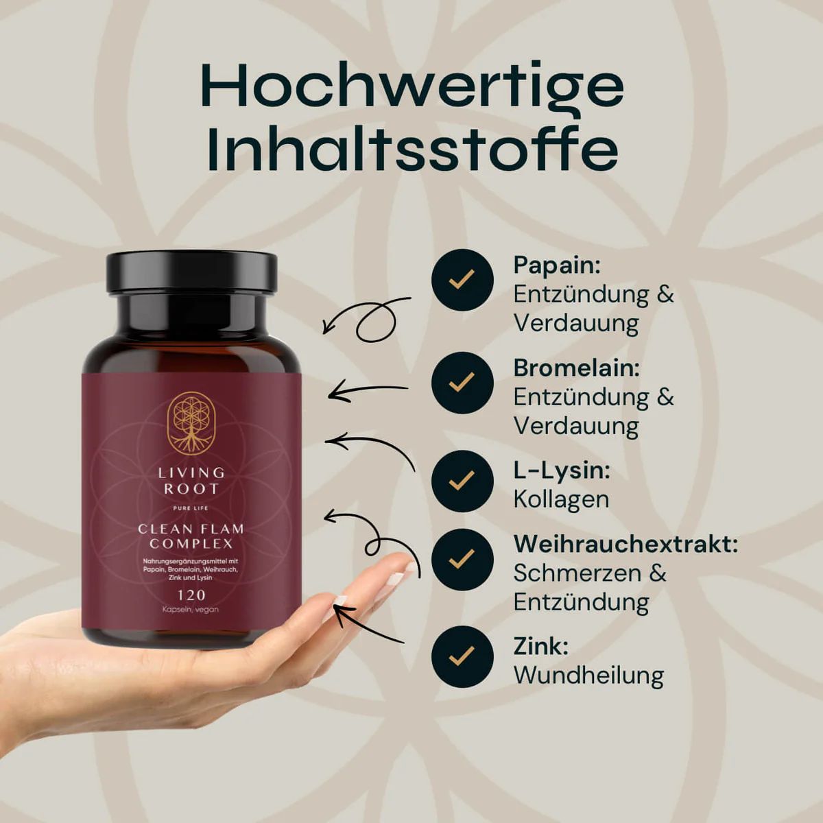 Braune Glasflasche mit Kapseln. Aufschrift: Living Root Clean Flam Complex. Inhaltsstoffe: Papain, Bromelain, L-Lysin, Weihrauch, Zink.