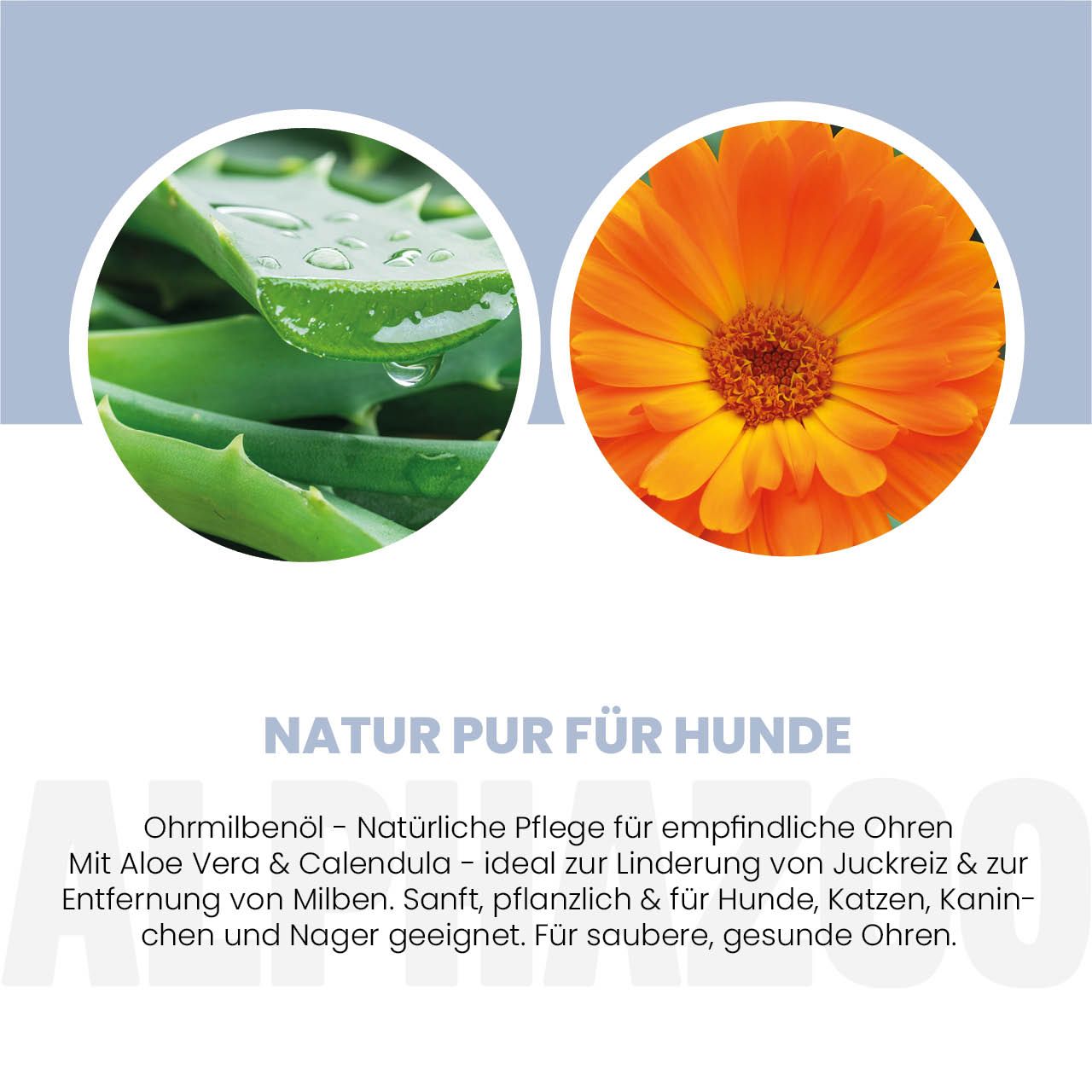 Kreisförmige Abbildungen von Aloe Vera und einer orangefarbenen Blüte. Text: Natur pur für Hunde. Mit Aloe Vera & Calendula.
