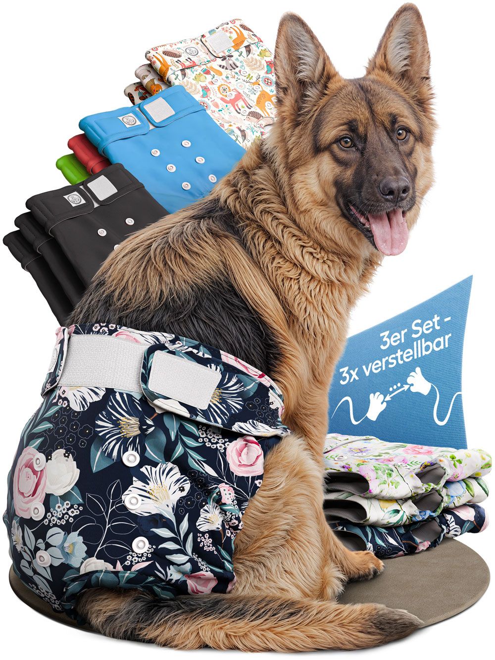 Windeln für Hündinnen, verschiedene Farben und Muster, 3-fach verstellbar. Ein Hund trägt eine Windel.