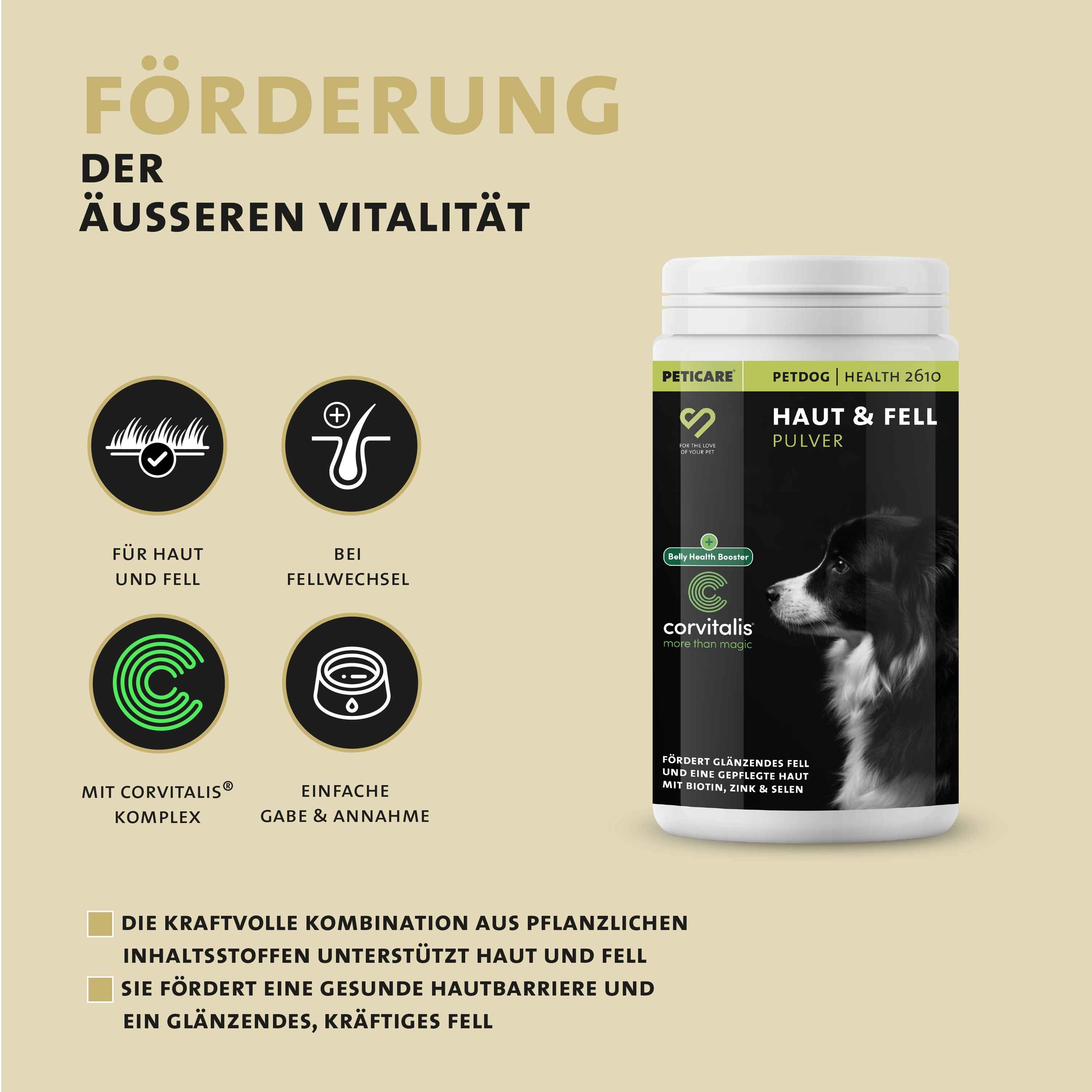 Peticare Natürliches Ergänzungsfutter Fell & Haut Pulver für Hunde