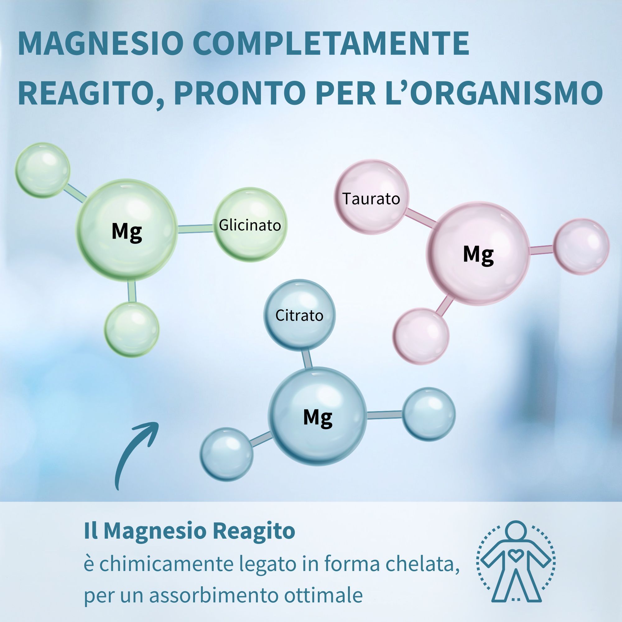 Igennus Magnesium Komplex - Triple-Formel aus Bisglycinat, Taurat & Citrat für hohe Aufnahme
