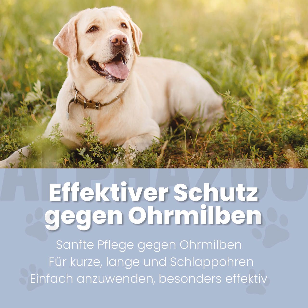 Hund liegt im Gras. Text: Effektiver Schutz gegen Ohrmilben. Sanfte Pflege. Für kurze, lange Ohren. Einfach anzuwenden.