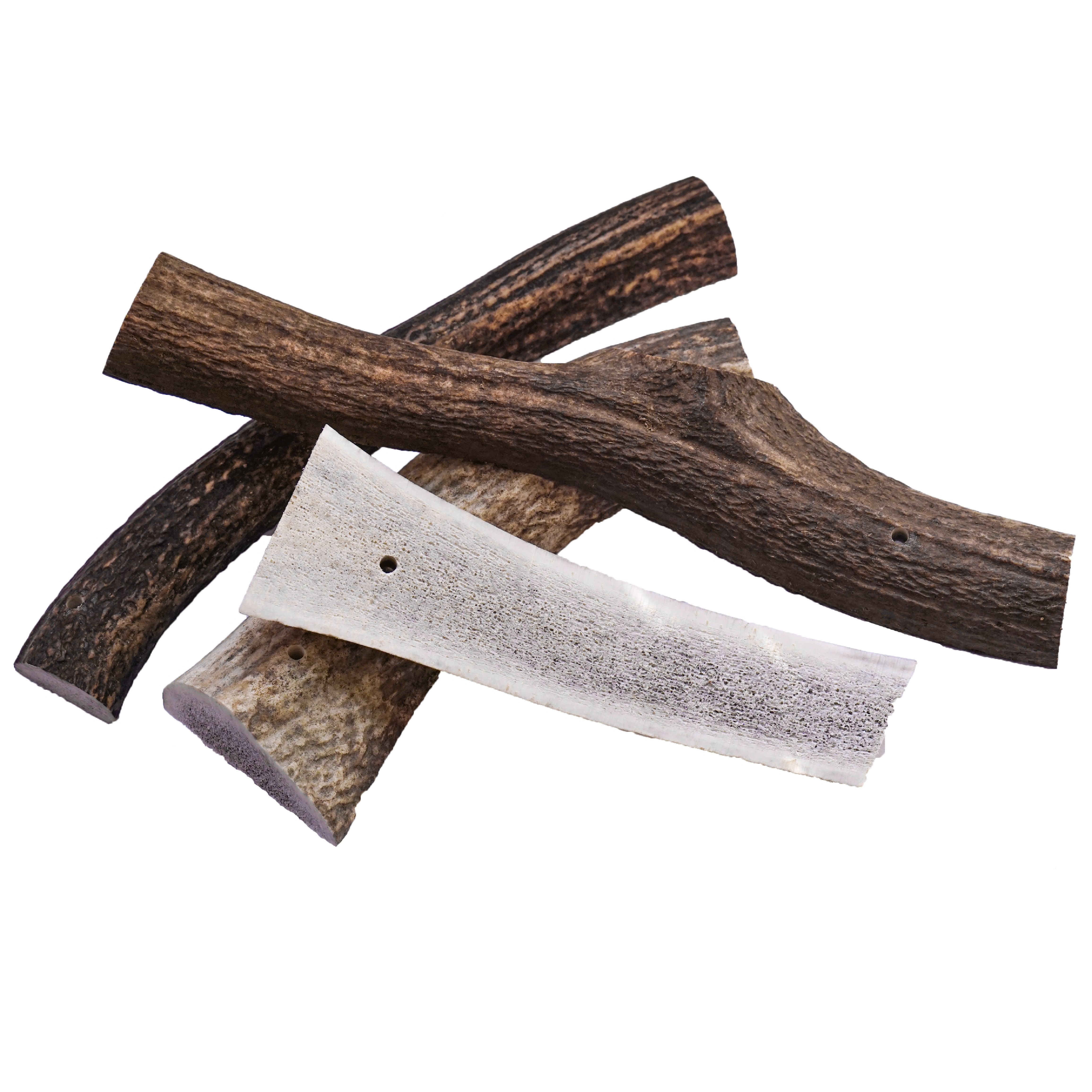Halbierte Hirsch-Geweihstücke. Mehrere Stücke in verschiedenen Brauntönen, teilweise mit Löchern. Natürliche Form und Textur.