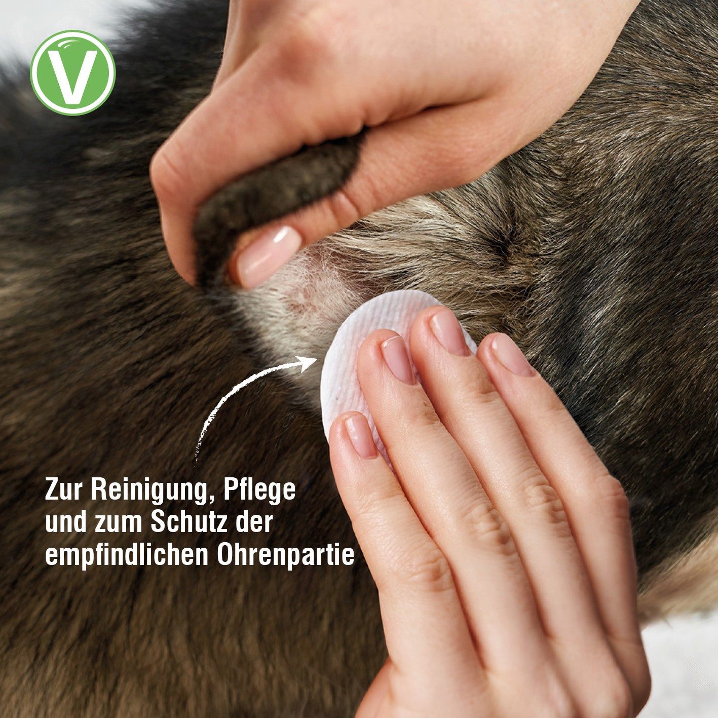 Vetlando Ohrenpflege