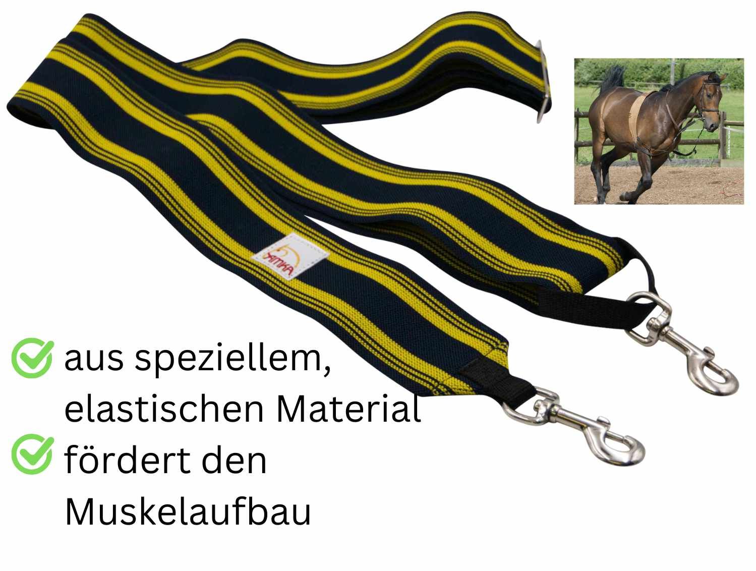 Blau-gelbes Longierband mit zwei Karabinern. Streifenmuster. Text: Aus speziellem, elastischen Material. Fördert den Muskelaufbau.