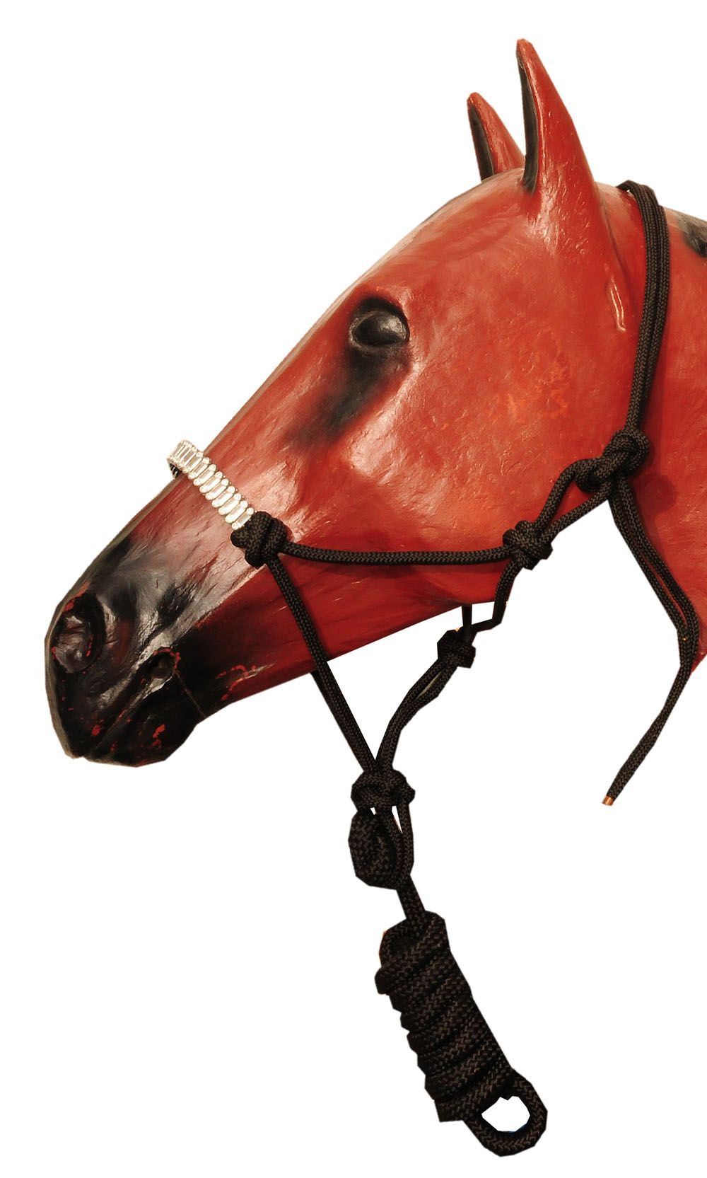 Knotenhalfter mit Strick, schwarz. Nahaufnahme auf einem Pferdekopf.
