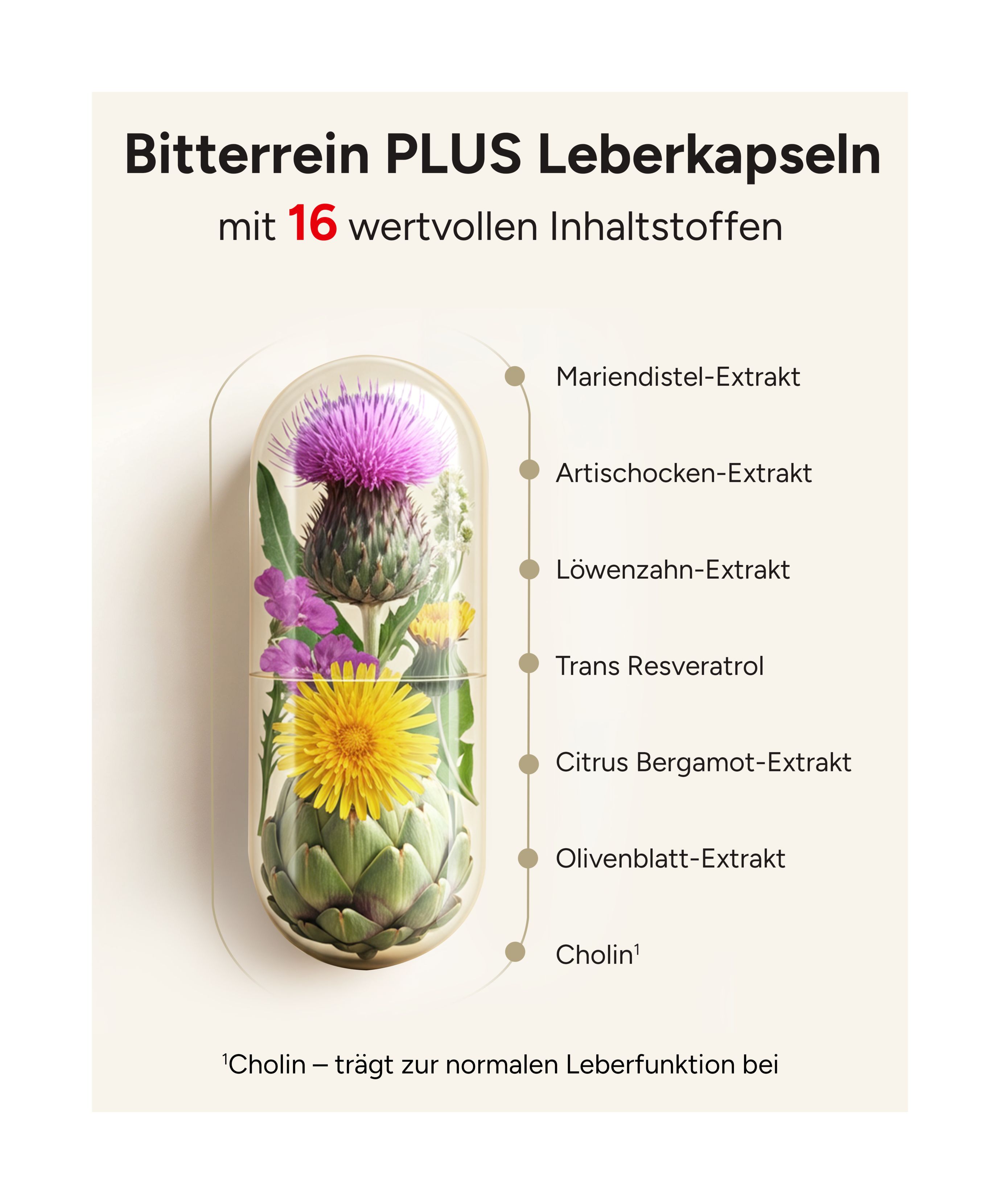 Kapsel mit Mariendistel, Artischocke, Löwenzahn, Resveratrol, etc. Text: Bitterrein PLUS Leberkapseln mit 16 Inhaltsstoffen.