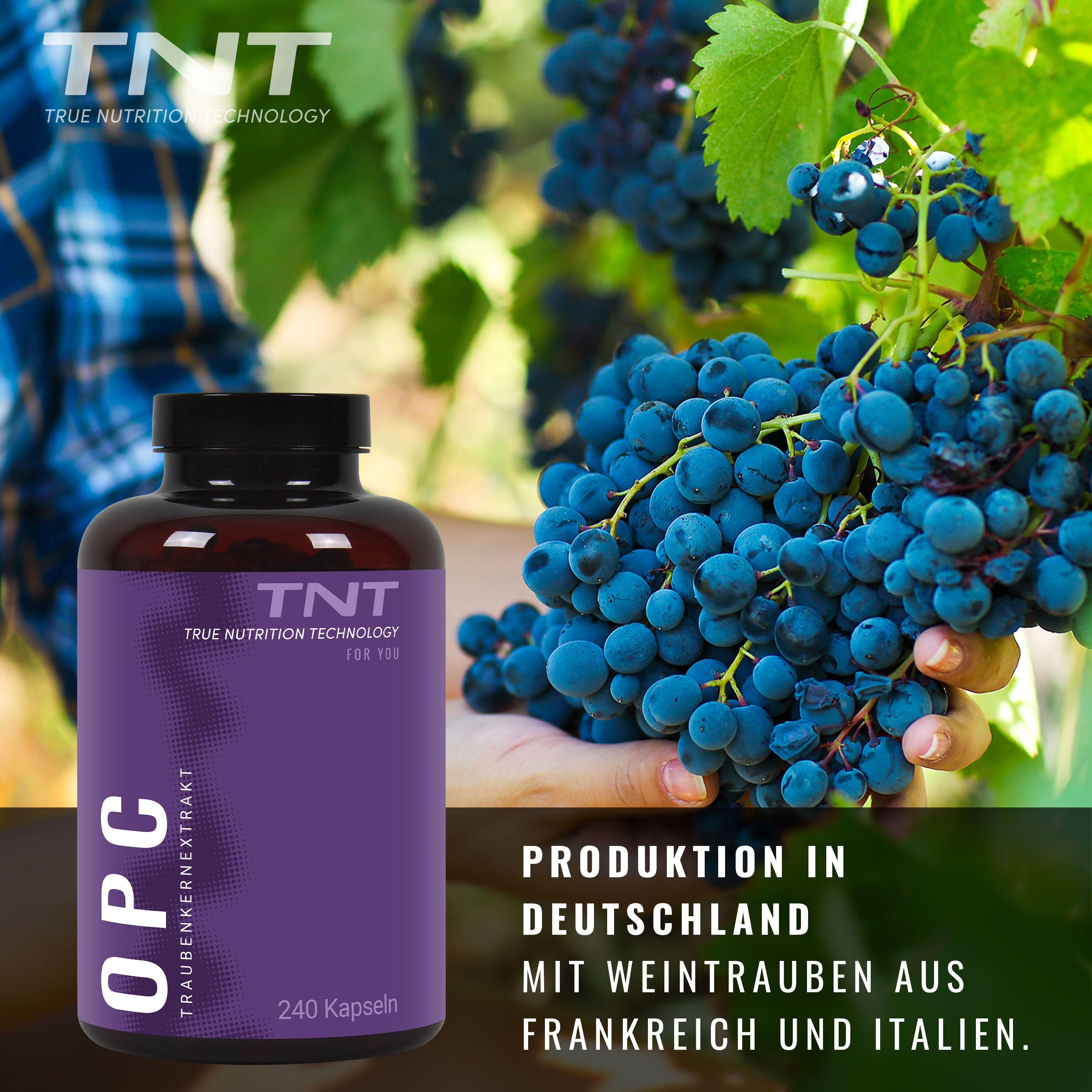 Eine lila Flasche mit der Aufschrift OPC, Traubenkernextrakt und TNT steht vor einem Hintergrund mit Weintrauben.