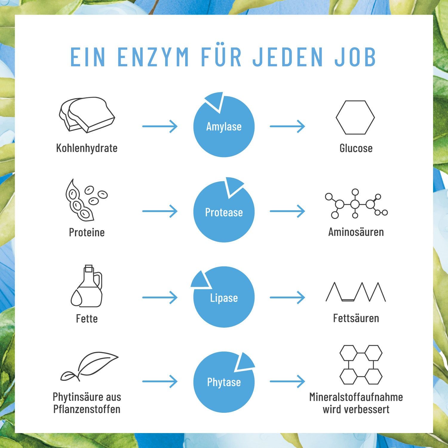 ENZYMHELDEN Enzym-Komplex mit Protease, Amylase, Lipase & Phytase - NATURTREU®