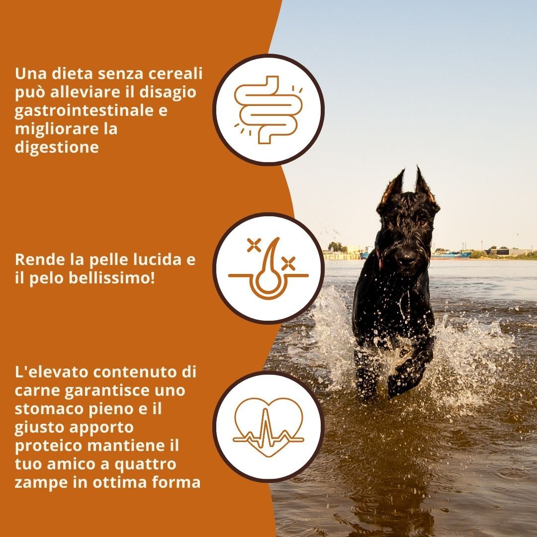 Hund rennt durch Wasser. Text: Ohne Getreide, verbessert Verdauung, Haut und Fell, hoher Fleischanteil.