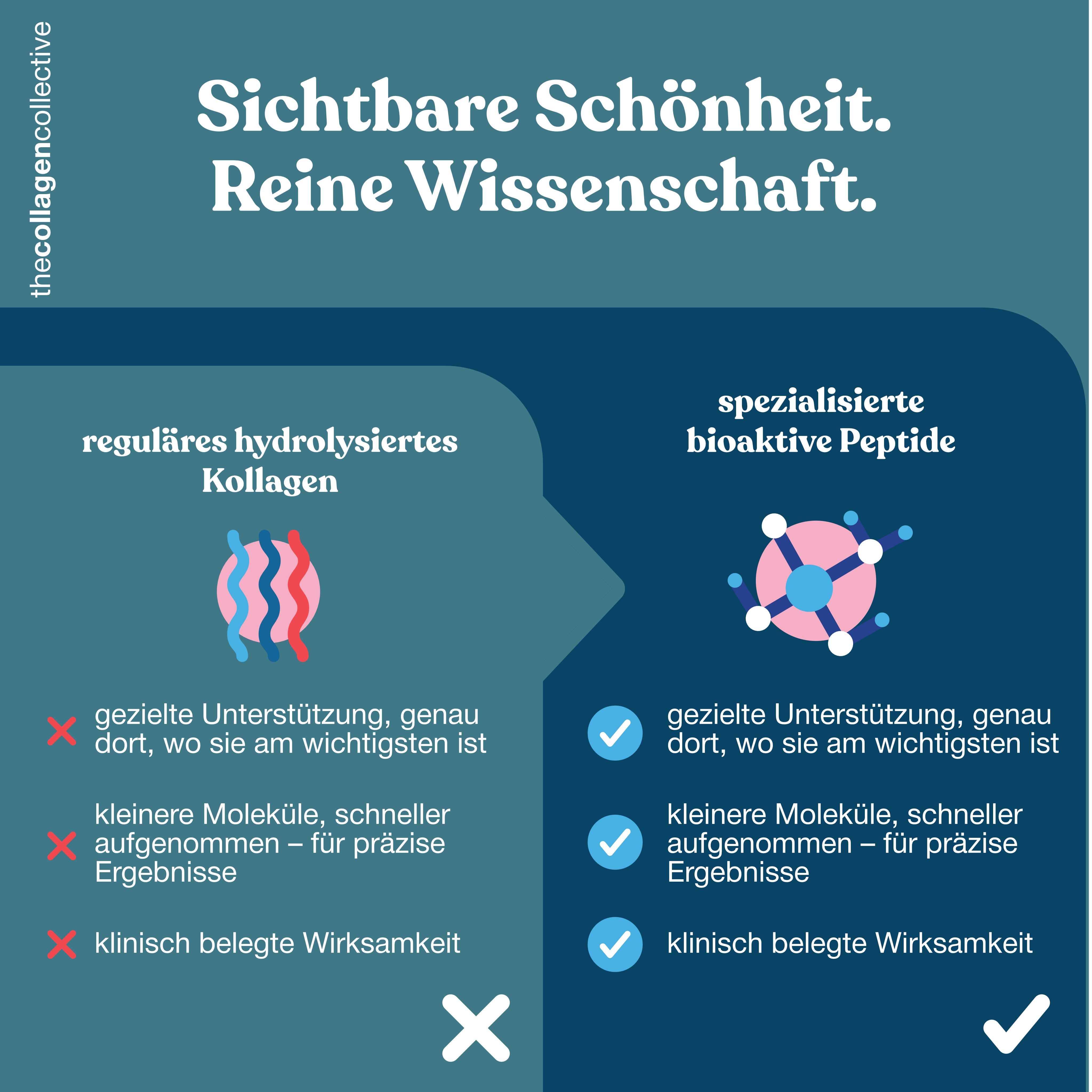 Vergleich von regulärem und spezialisiertem bioaktivem Kollagen. Diagramm mit Symbolen und Text.