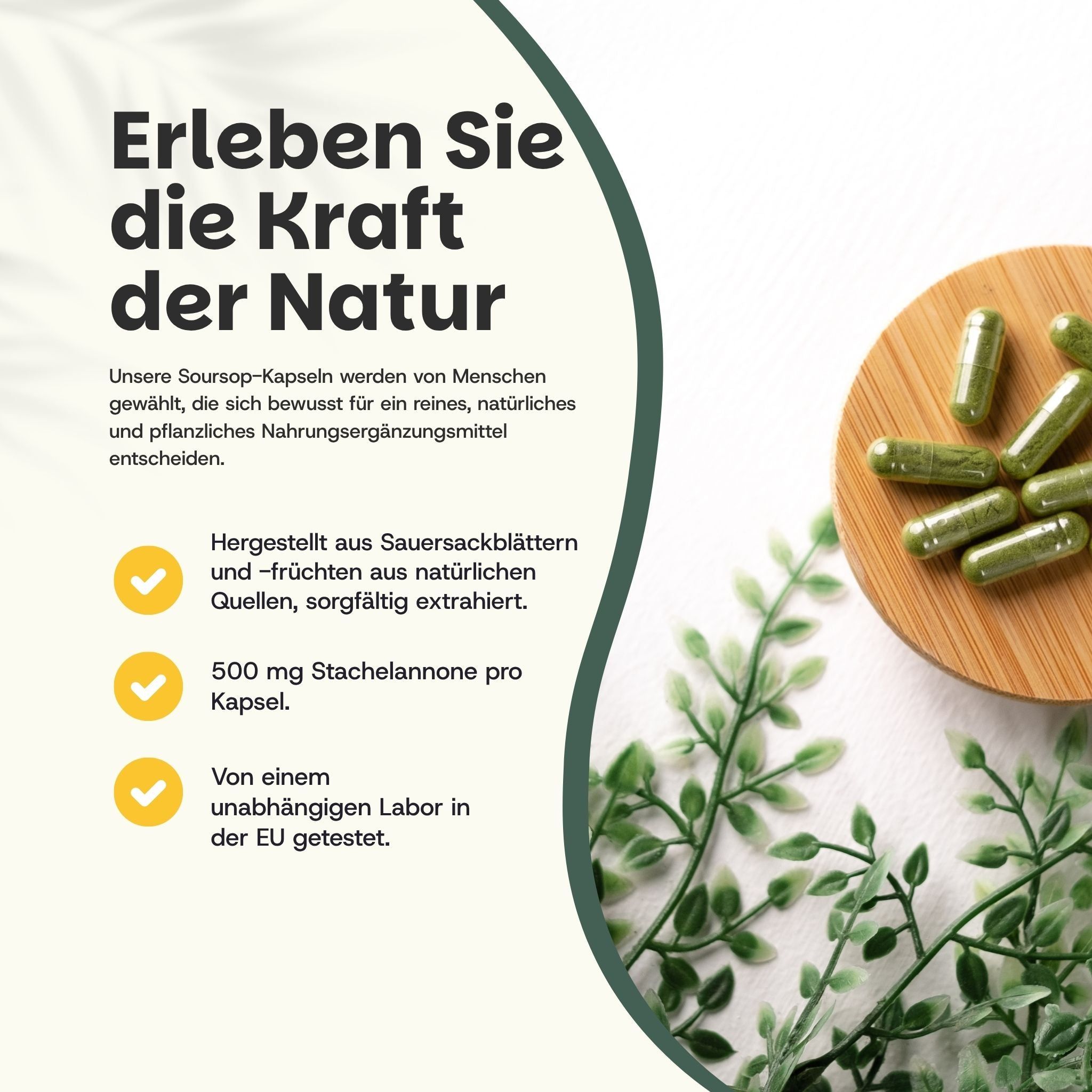 Holzbrett mit grünen Kapseln und Blättern. Text: 500 mg Stachelannone pro Kapsel. Labor in der EU getestet.