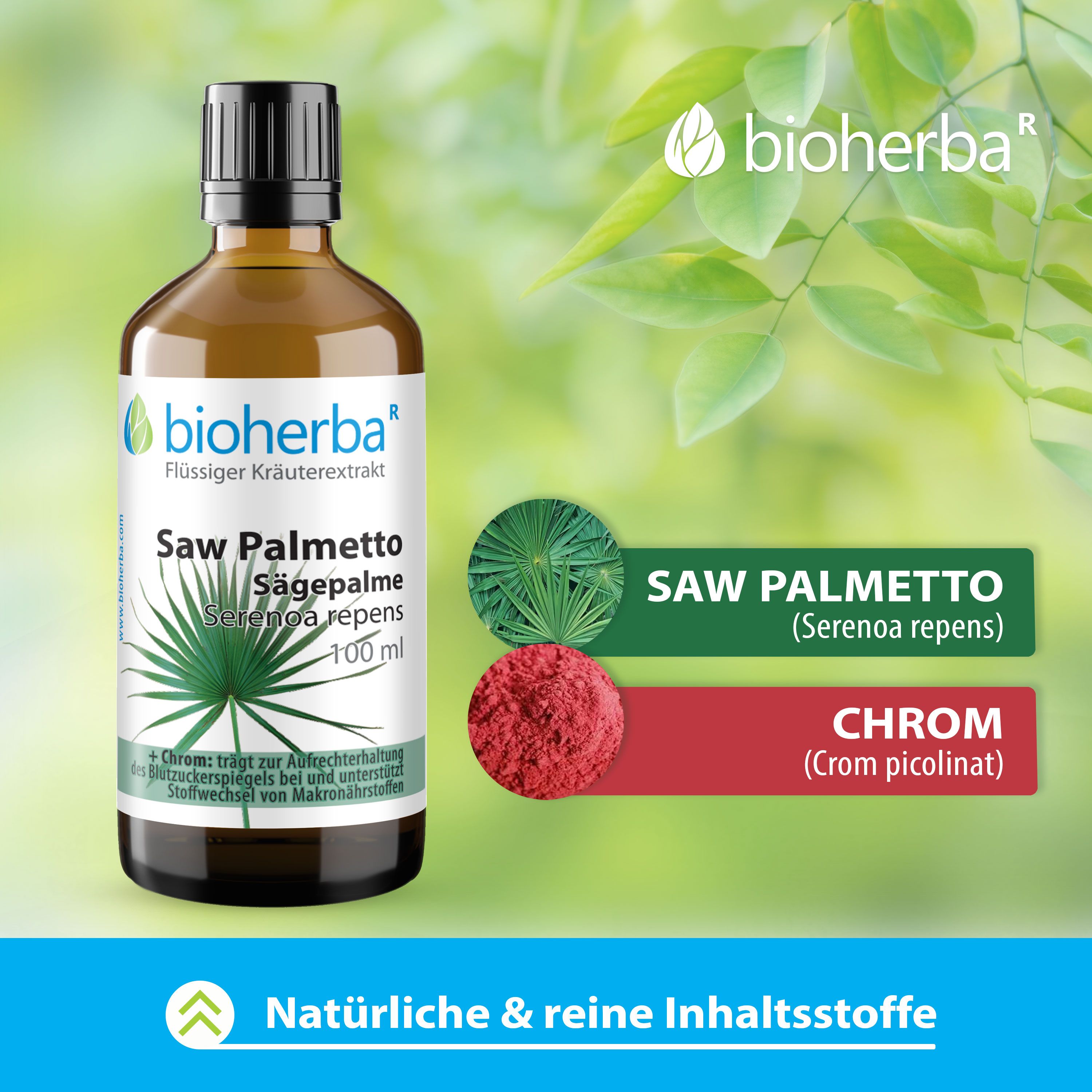 Braune Glasflasche mit Bioherba Saw Palmetto Tinktur. Zusätzliche Grafiken: Saw Palmetto und Chrom.