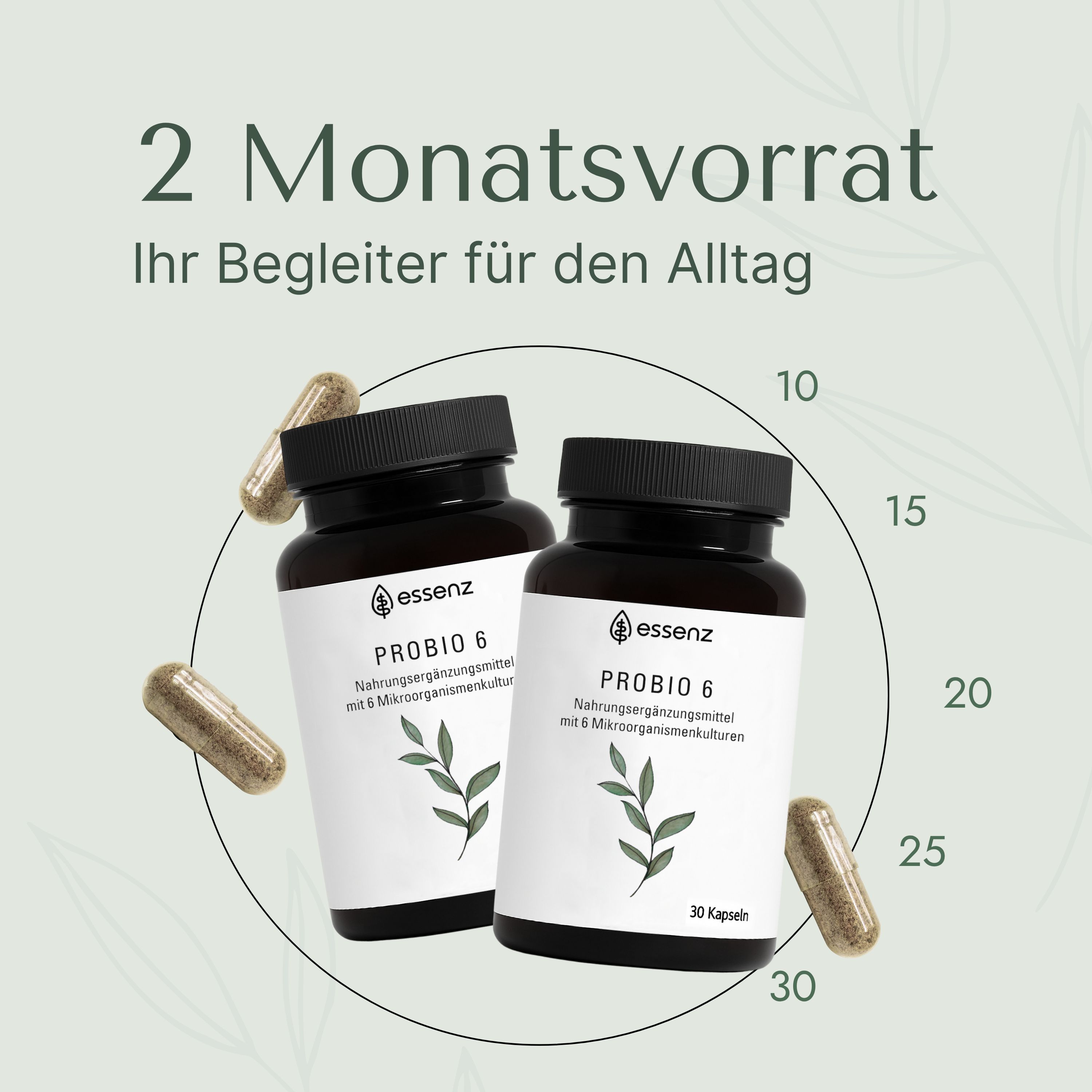 ESSENZ Probio 6 – 6 Bakterienstämme mit 10 Milliarden KBE & Inulin – Probiotische Kulturen