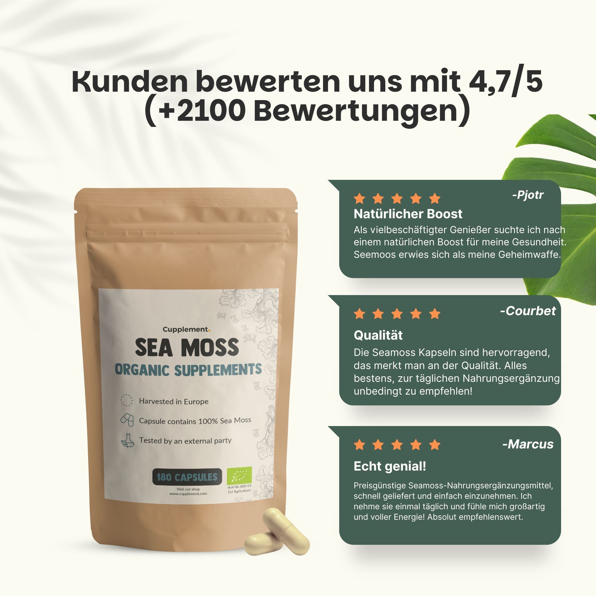 Braune Verpackung mit Sea Moss Organic Supplements. Kundenbewertungen. Gelbe Sterne.