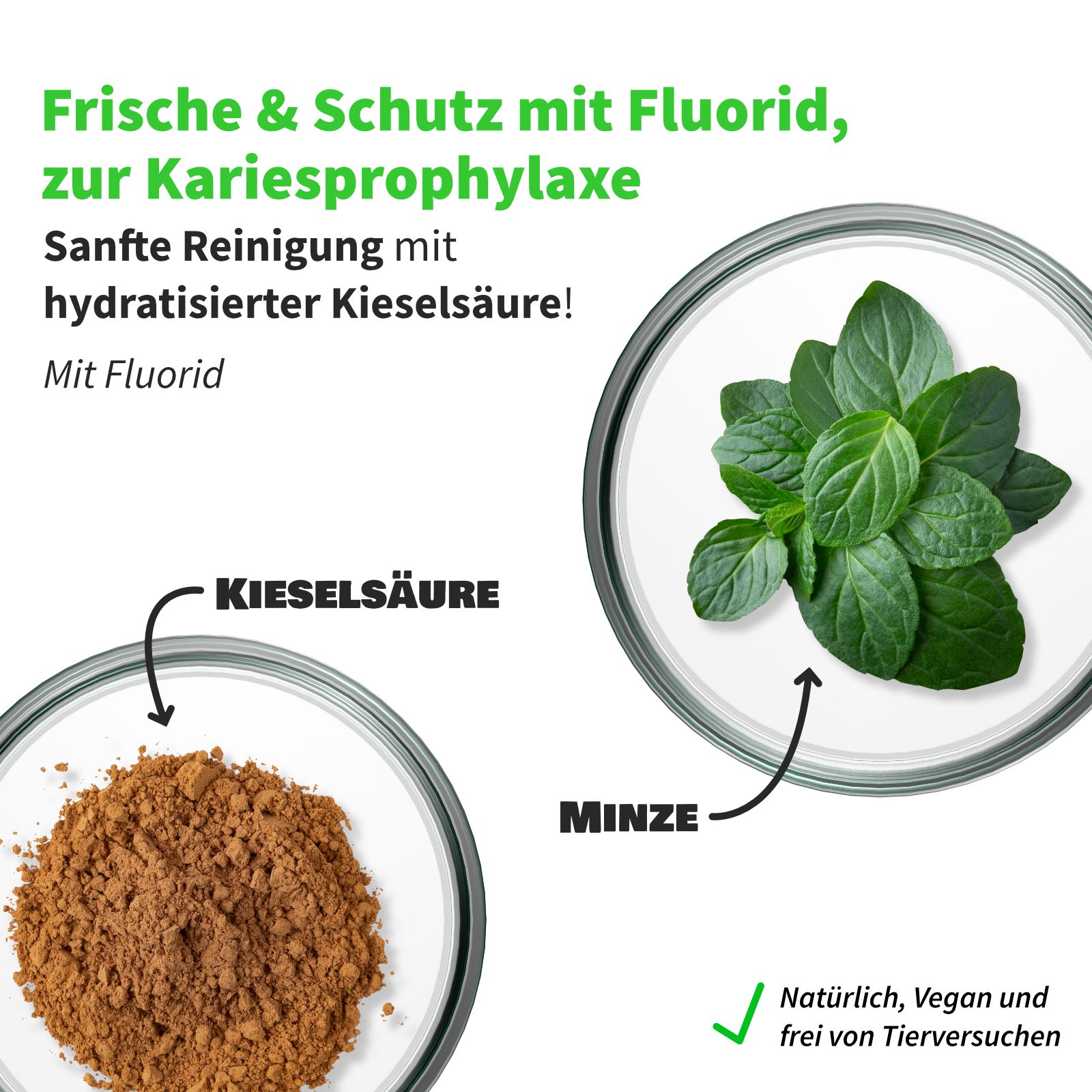 Kreisförmige Darstellung von Kieselsäure und Minze. Text: Frische & Schutz mit Fluorid. Vegan und tierversuchsfrei.