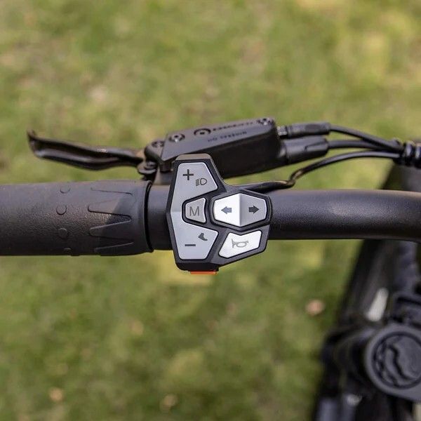 Lenker mit Bedienelementen für E-Bike. Knöpfe für Licht, Hupe, Pfeiltasten und M-Taste.