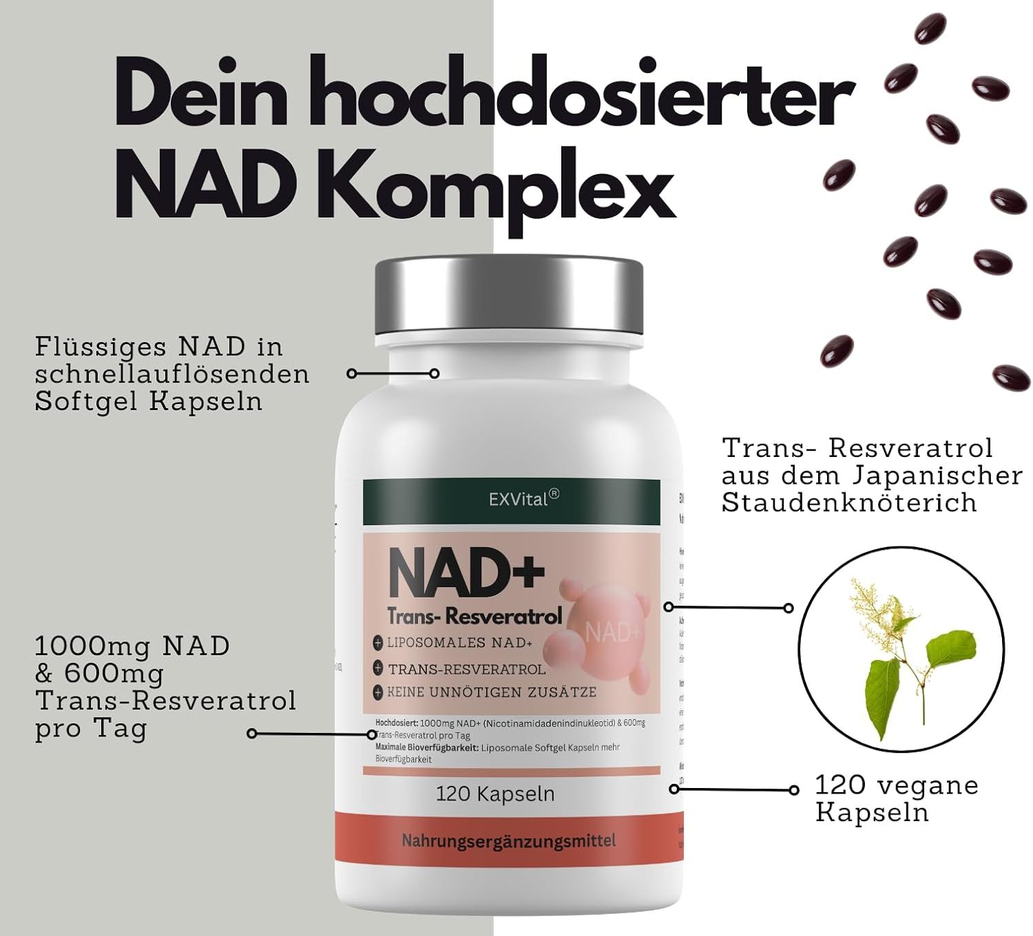 Weiße Flasche mit silbernem Deckel. Aufschrift: EXVital NAD+ Trans-Resveratrol. 120 Kapseln. 1000mg NAD & 600mg Trans-Resveratrol pro Tag.