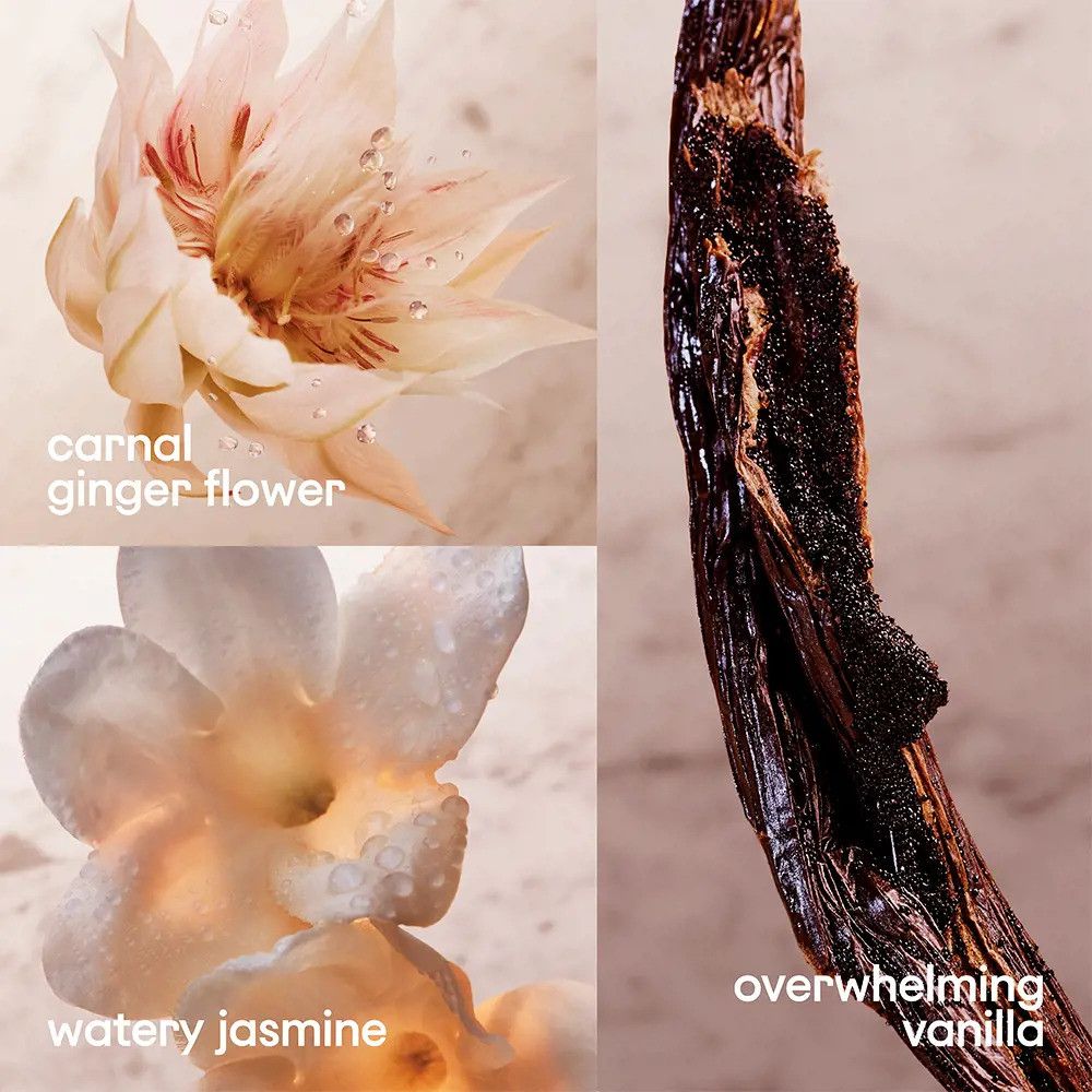 Nahaufnahmen von Ingwerblüte, Jasminblüte und Vanilleschote. Text: carnal ginger flower, watery jasmine, overwhelming vanilla.