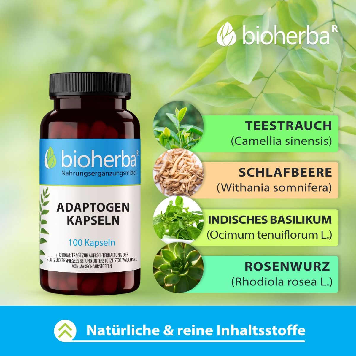 Braune Flasche mit schwarzen Deckel. Produktname: Adaptogen Kapseln. 100 Kapseln. Inhaltsstoffe: Teestrauch, Schlafbeere, Indisches Basilikum, Rosenwurz.