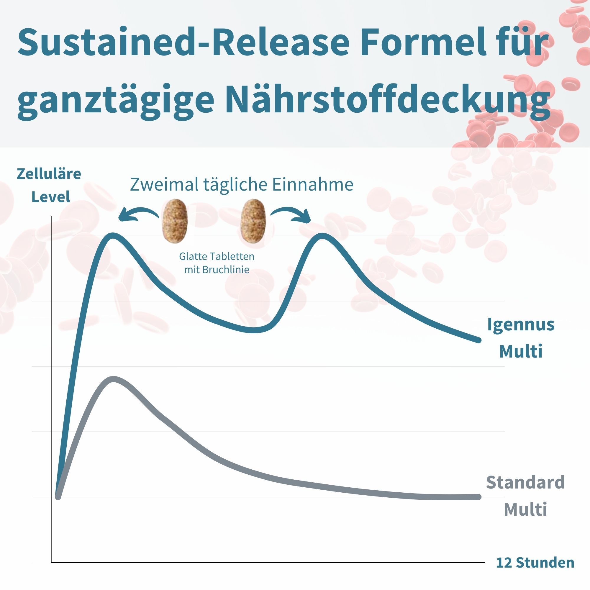 Grafik: Zelluläres Level, Einnahme von Tabletten. Kurvenverlauf: Igennus Multi und Standard Multi. Text: Sustained-Release Formel.