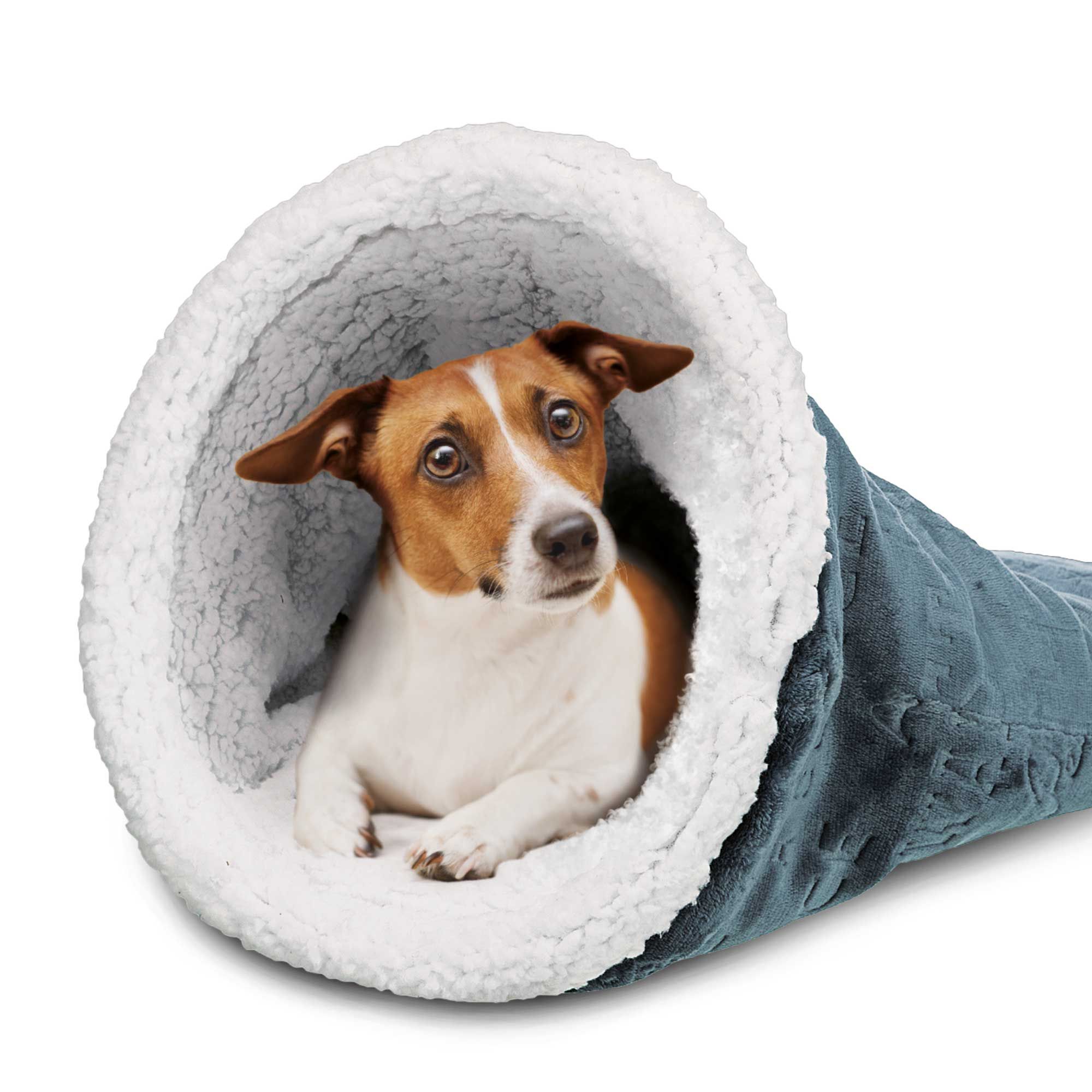 Blauer Kuschelsack mit weißem Innenfutter. Ein Hund liegt darin.