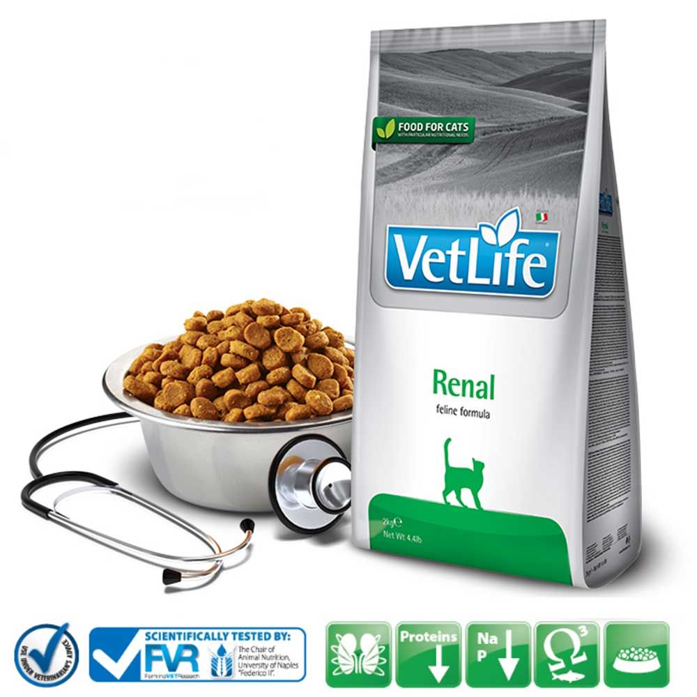 Trockenfutter Farmina VetLife Renal - Katze Adult