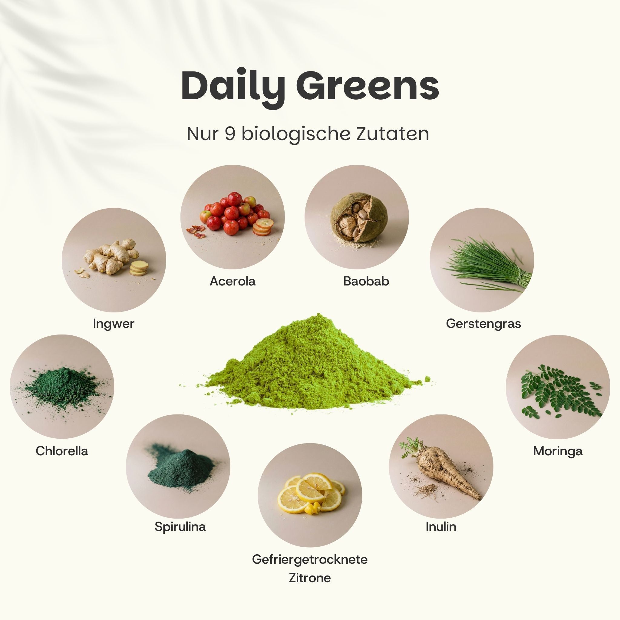 Kreisförmige Anordnung von 9 Zutaten: Acerola, Baobab, Gerstengras, Ingwer, Chlorella, Spirulina, Zitrone, Inulin, Moringa. Grünes Pulver in der Mitte.