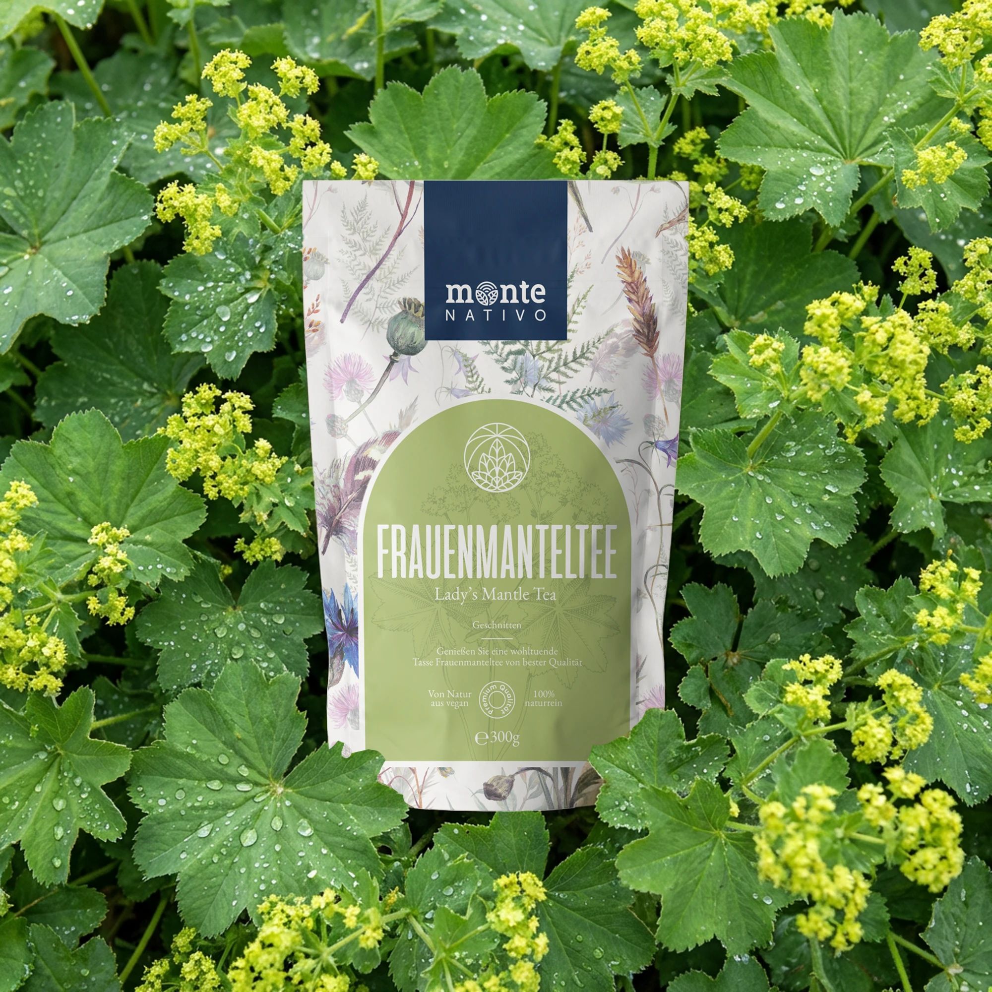 Monte Nativo Frauenmantel Kräutertee lose